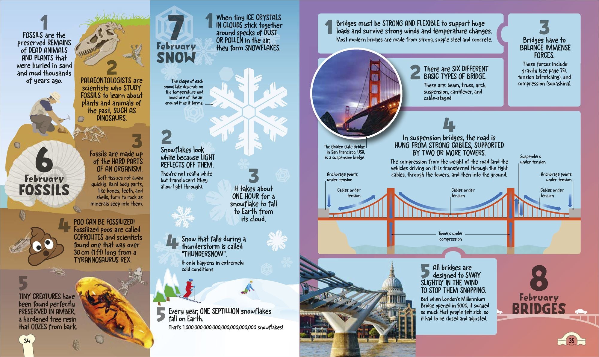 5 Facts a Day Science: A Little Bit of Learning Every Day