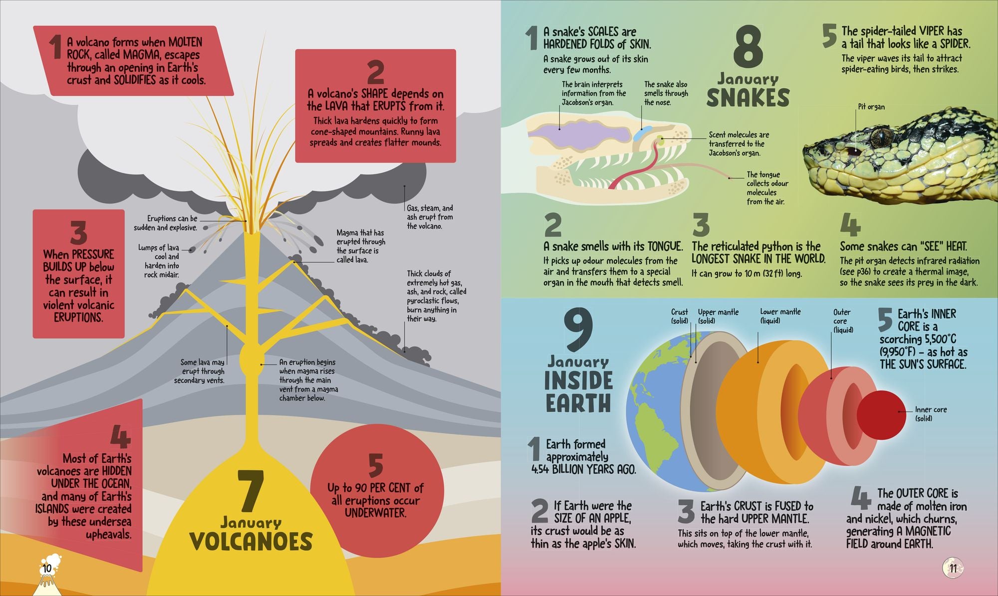5 Facts a Day Science: A Little Bit of Learning Every Day