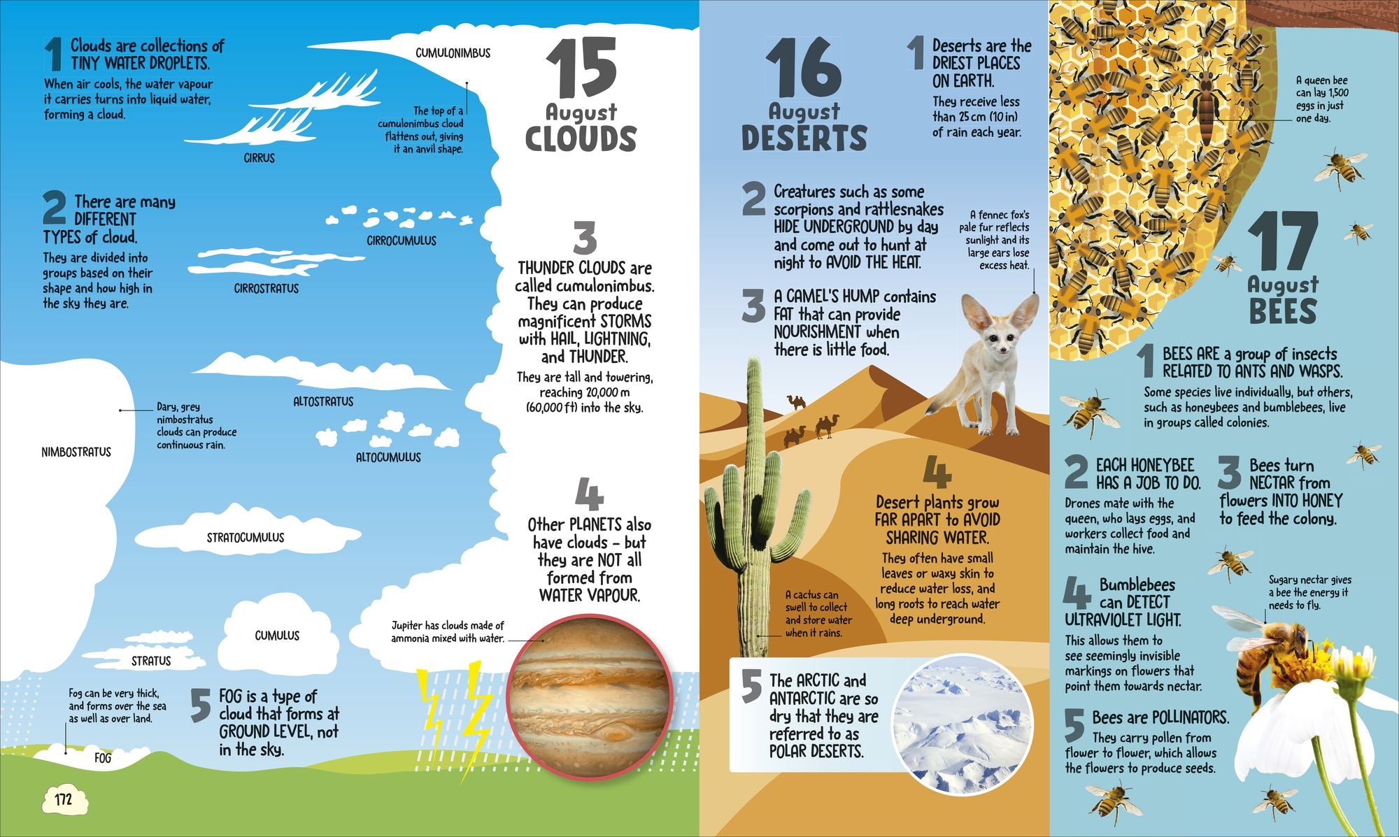 5 Facts a Day Science: A Little Bit of Learning Every Day