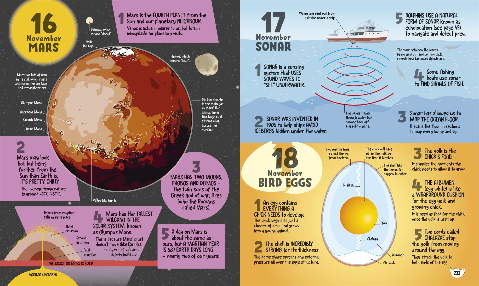 5 Facts a Day Science: A Little Bit of Learning Every Day
