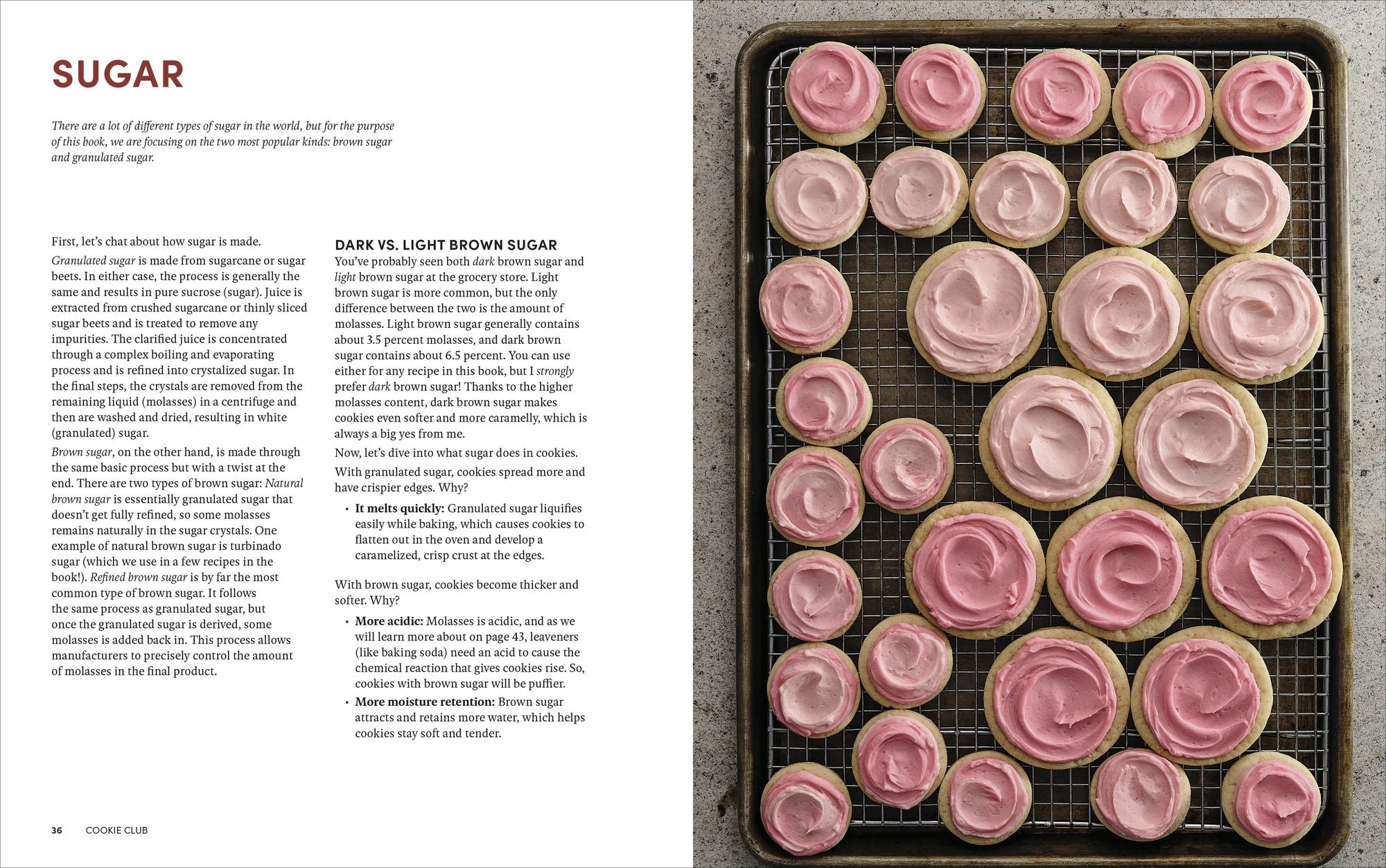 Cookie Club: 80 Creative Cookies to Make, Swap, and Share
