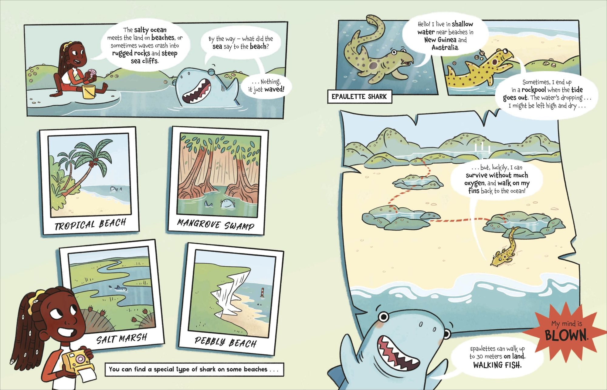 The Fact-Finders Ocean: Discover the Secrets of the Deep!