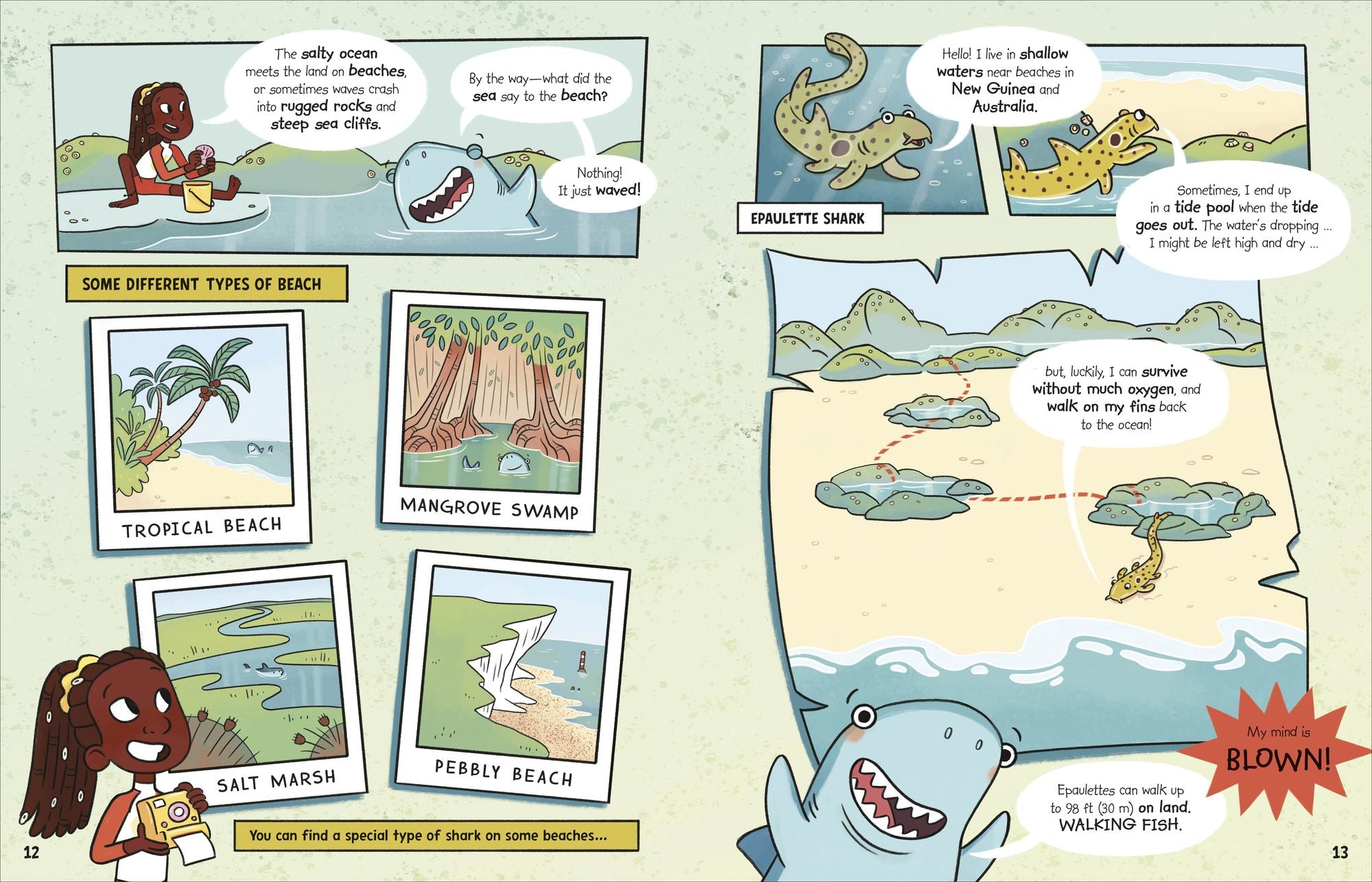 The Fact-Finders Ocean: Discover the Secrets of the Deep!