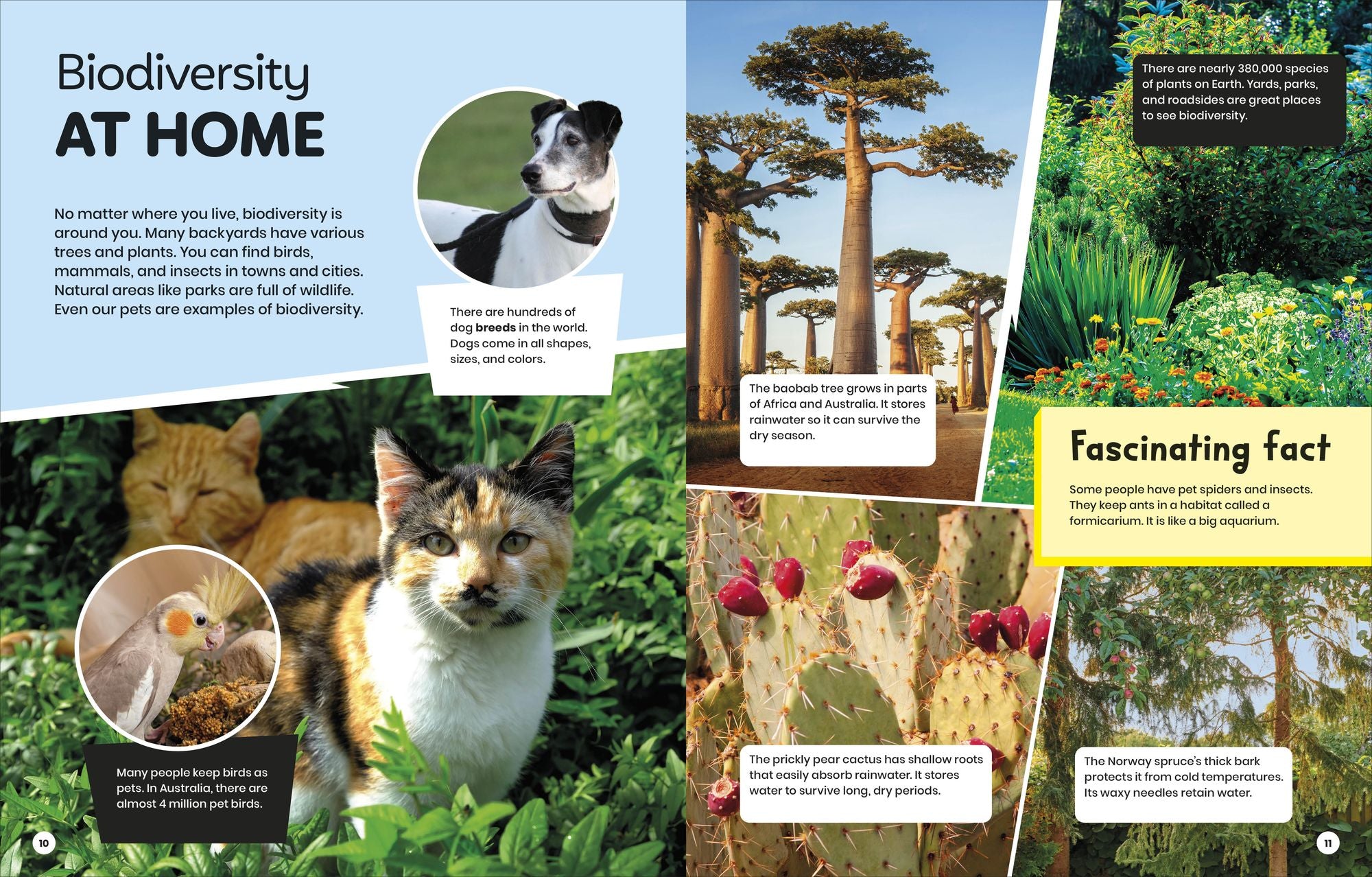 DK Super Planet Beautiful Biodiversity