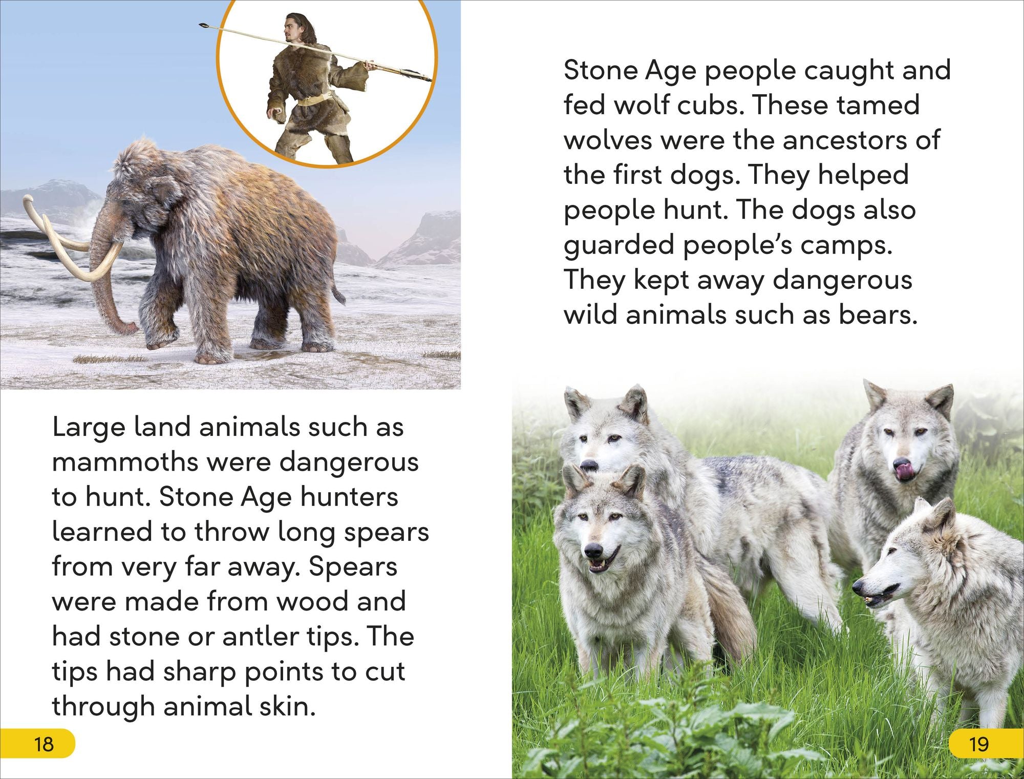 DK Super Readers Level 2 Life in the Stone Age