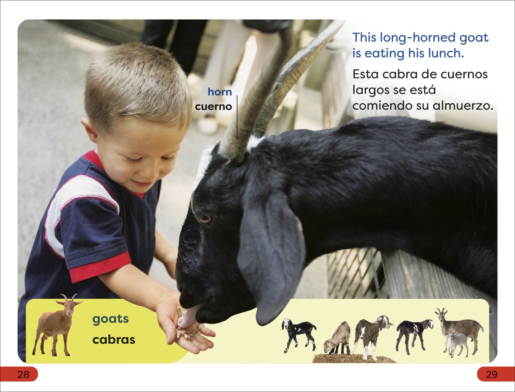 DK Super Readers Pre-Level English-Spanish Bilingual A Day at the Petting Zoo - Un día en el zoológico interactivo
