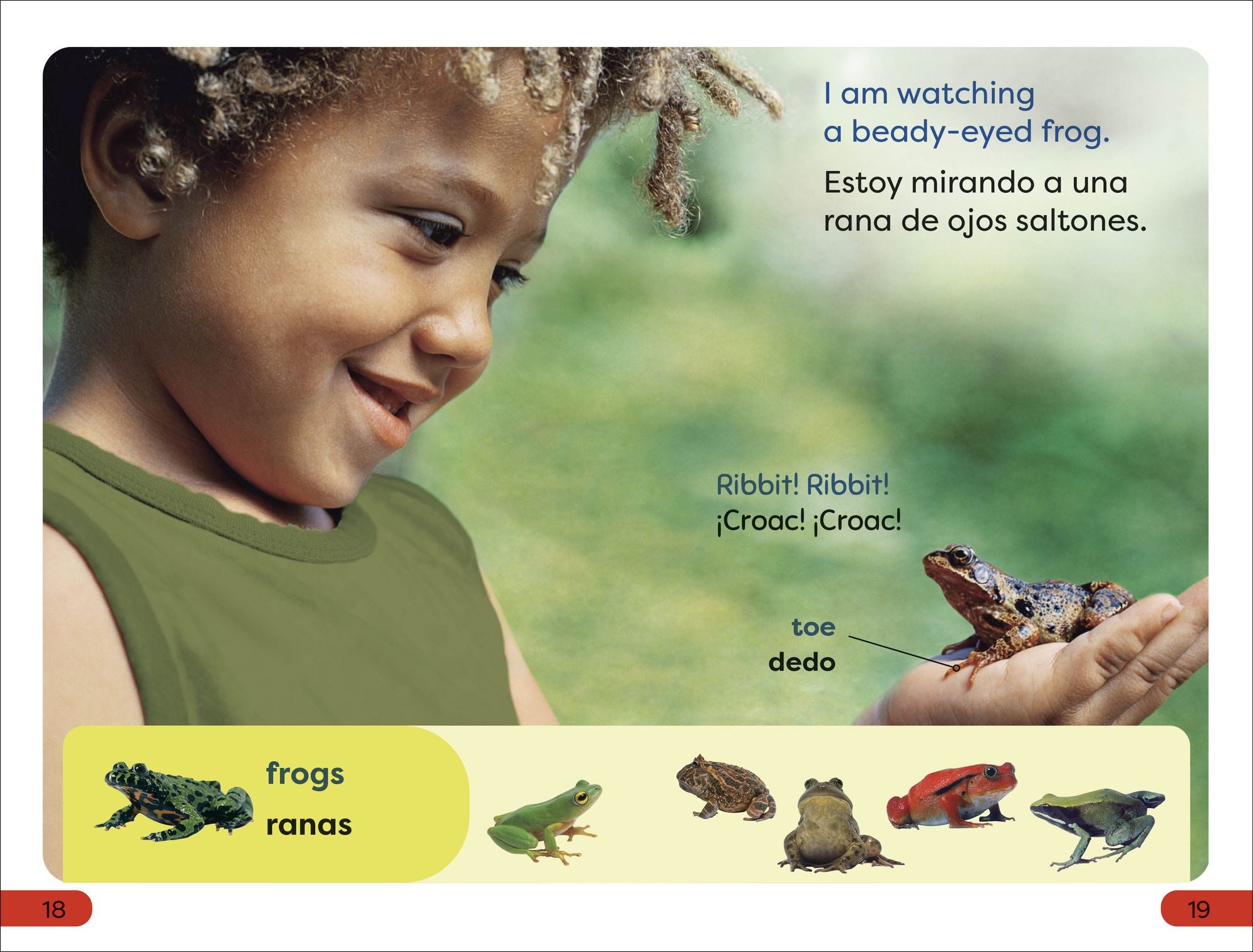 DK Super Readers Pre-Level English-Spanish Bilingual A Day at the Petting Zoo - Un día en el zoológico interactivo