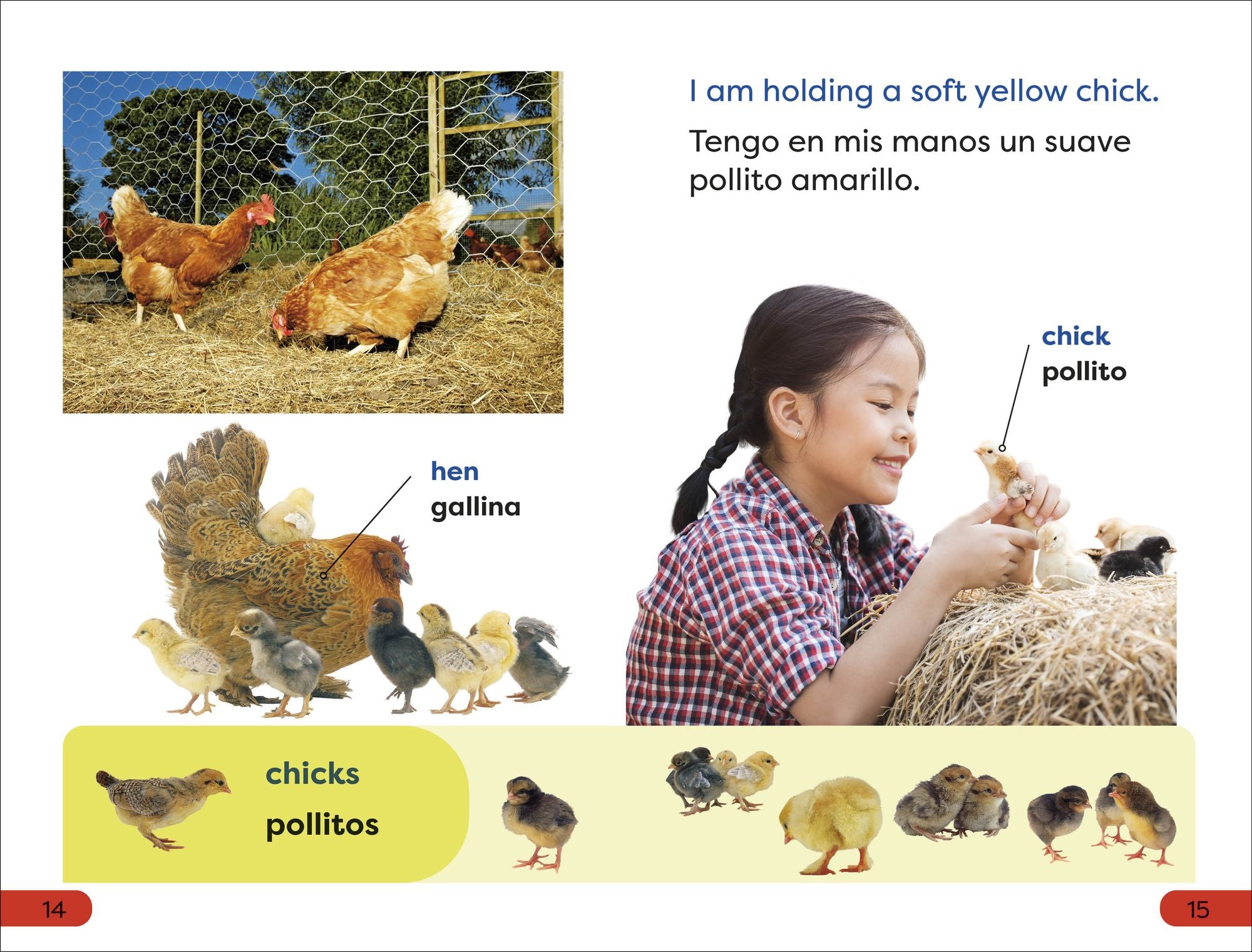 DK Super Readers Pre-Level English-Spanish Bilingual A Day at the Petting Zoo - Un día en el zoológico interactivo