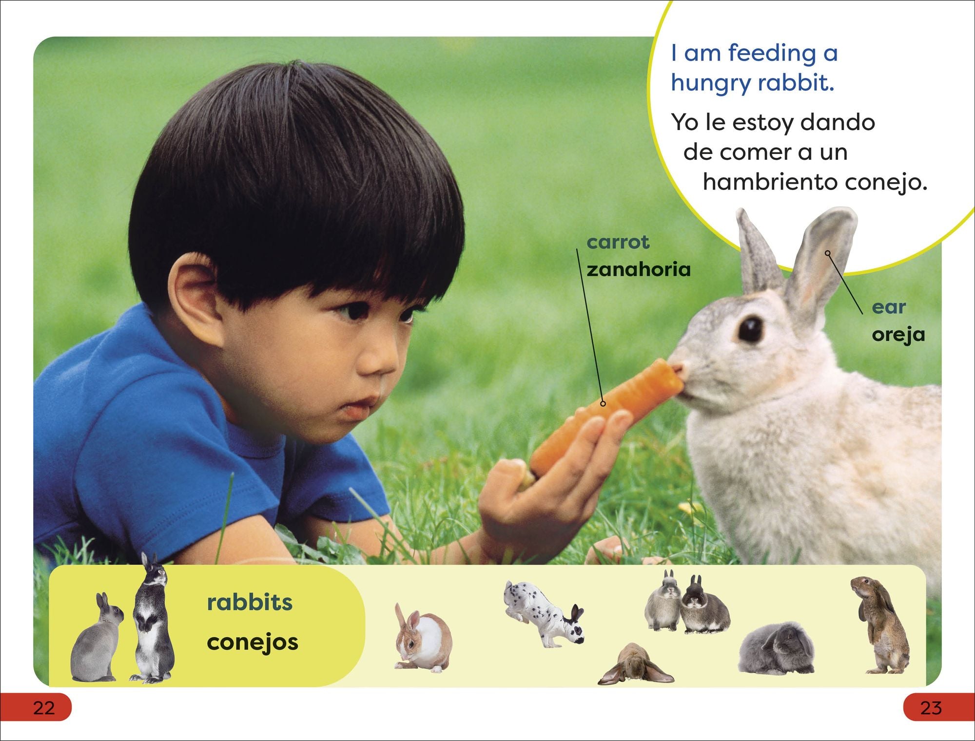 DK Super Readers Pre-Level English-Spanish Bilingual A Day at the Petting Zoo - Un día en el zoológico interactivo