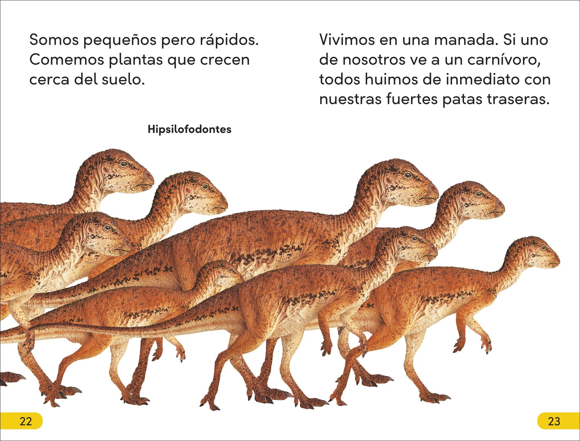 DK Super Readers Level 2 Spanish Translation Dinosaur Dinners - Cena para un dinosaurio