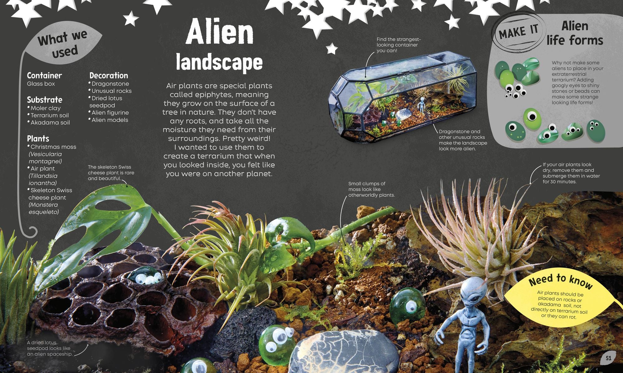 Magical Miniature Worlds: 18 Terrarium Projects for Kids to Make and Grow