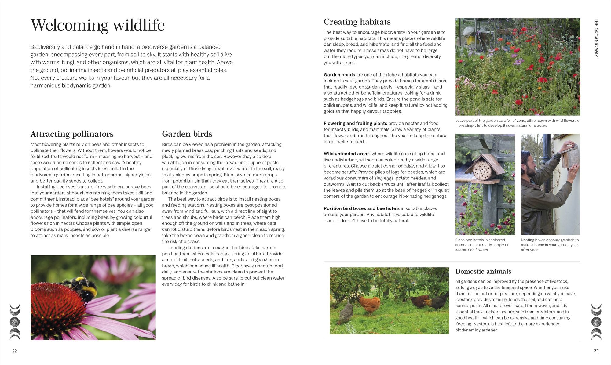 Biodynamic Gardening: Organic Growing Guided by the Moon for Bountiful Harvests