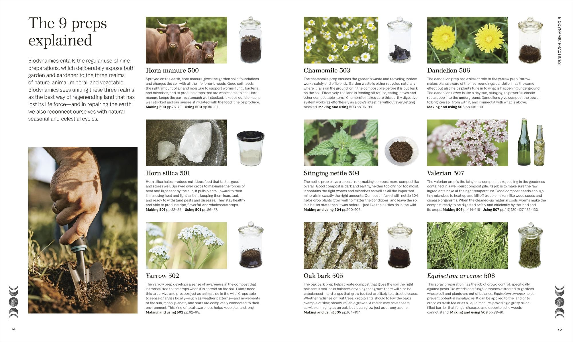 Biodynamic Gardening: Organic Growing Guided by the Moon for Bountiful Harvests