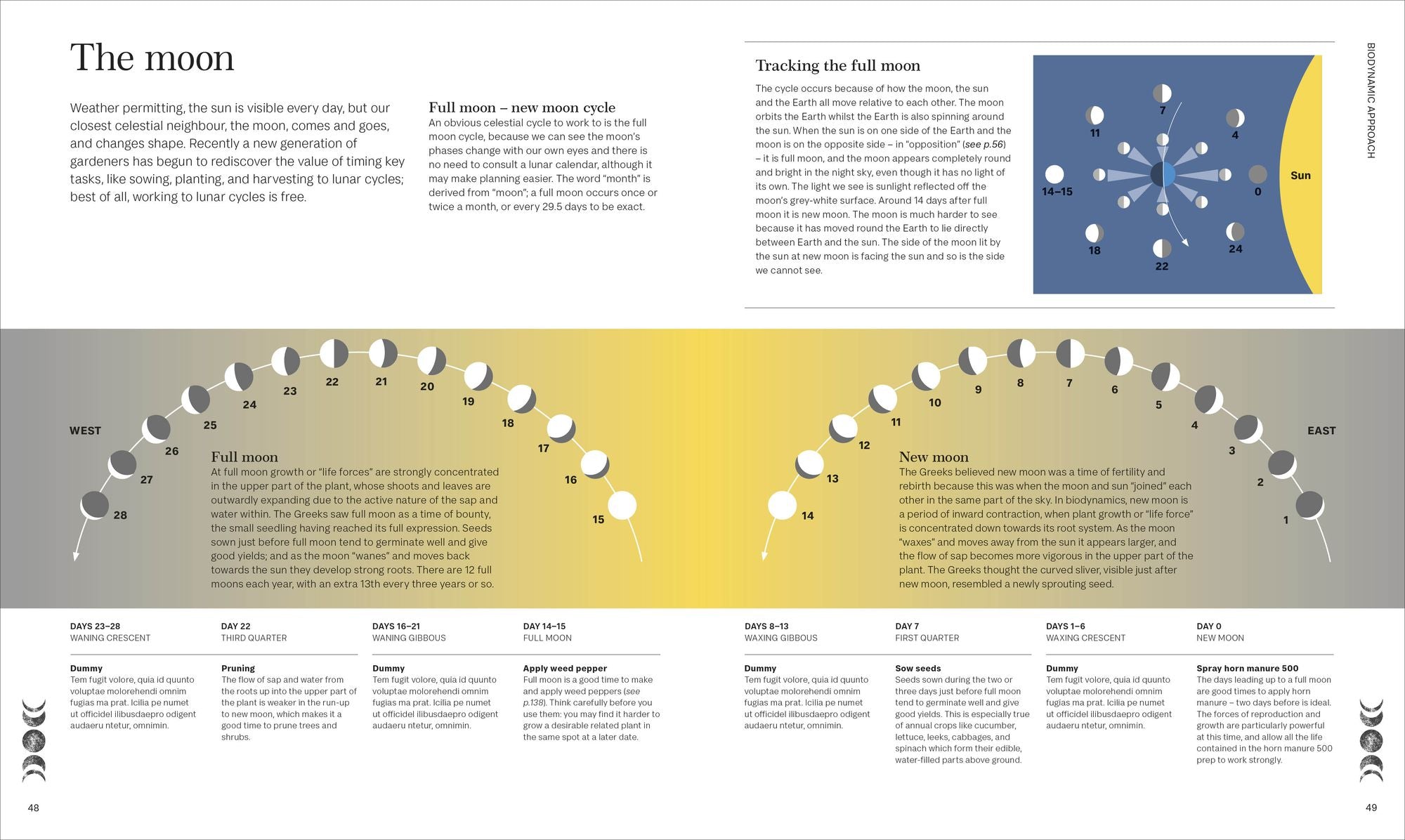 Biodynamic Gardening: Organic Growing Guided by the Moon for Bountiful Harvests