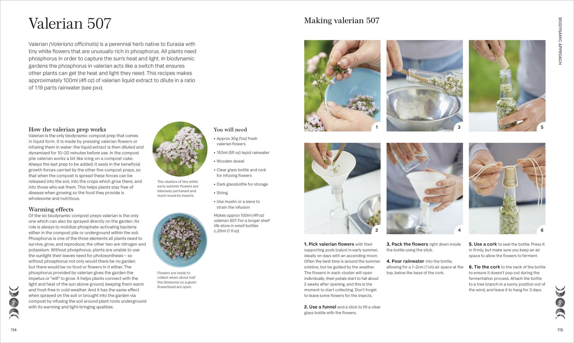 Biodynamic Gardening: Organic Growing Guided by the Moon for Bountiful Harvests