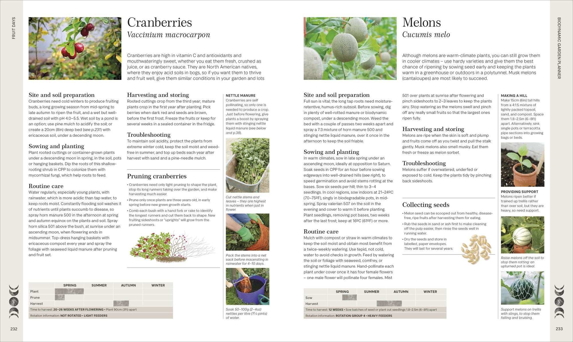 Biodynamic Gardening: Organic Growing Guided by the Moon for Bountiful Harvests