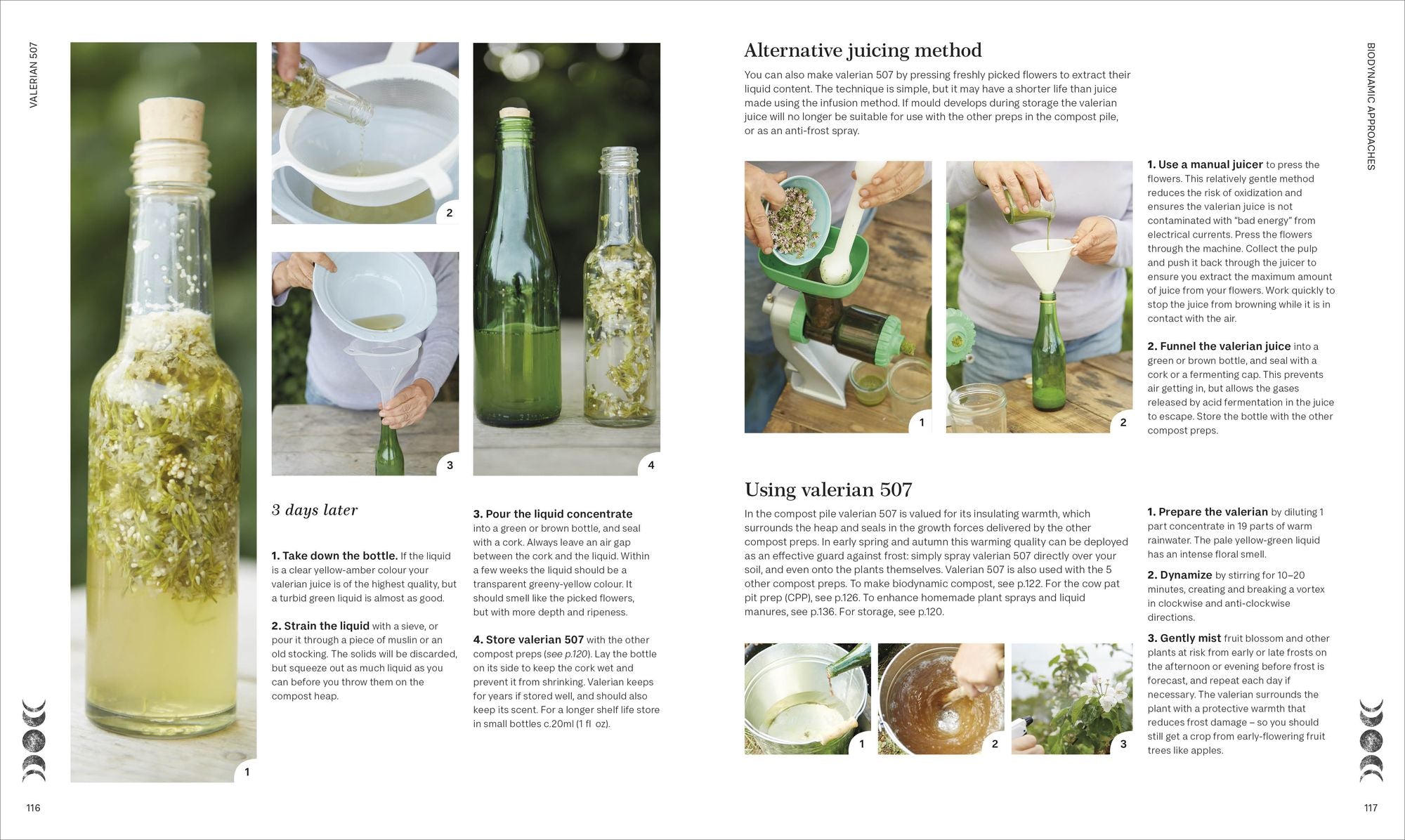Biodynamic Gardening: Organic Growing Guided by the Moon for Bountiful Harvests