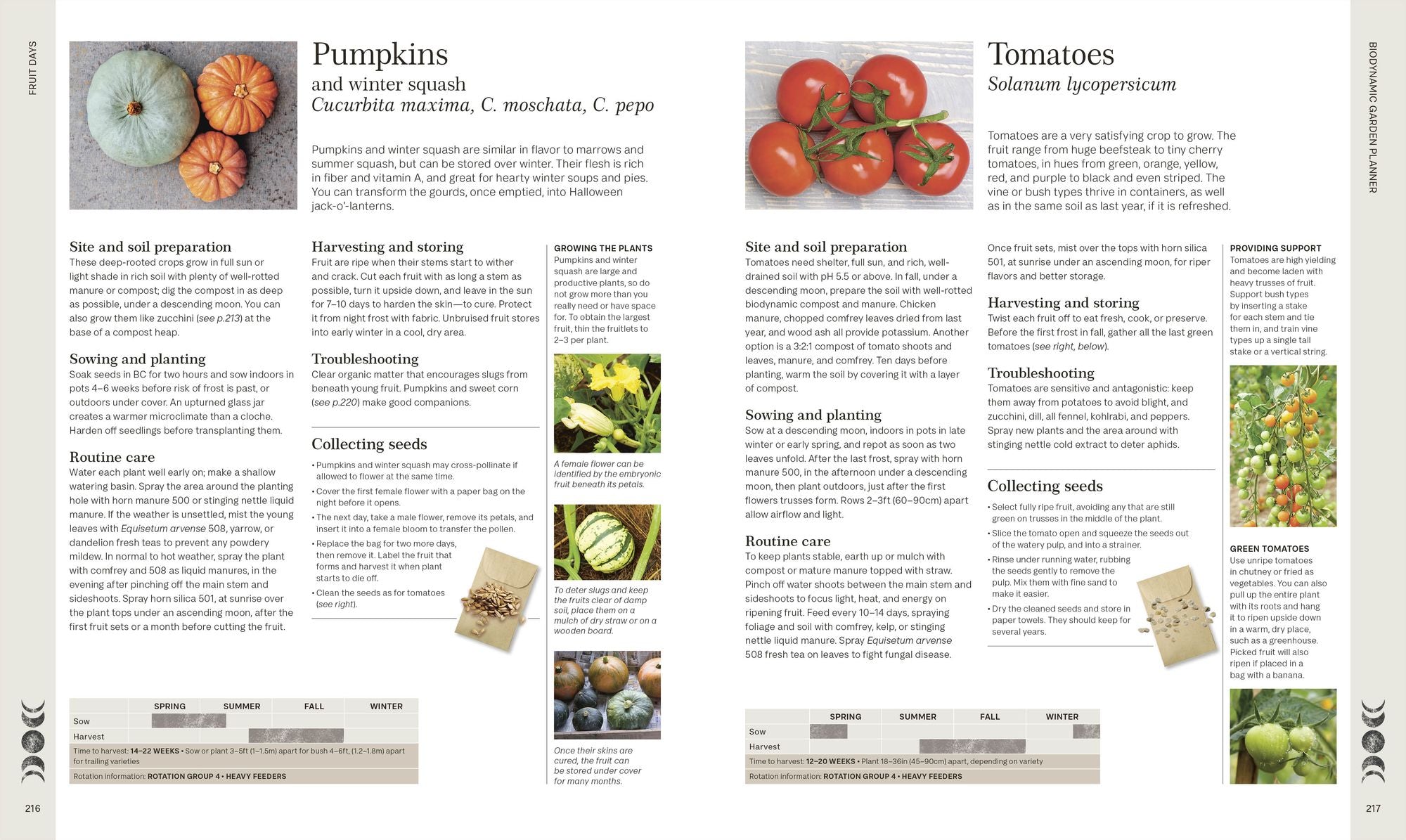 Biodynamic Gardening: Organic Growing Guided by the Moon for Bountiful Harvests