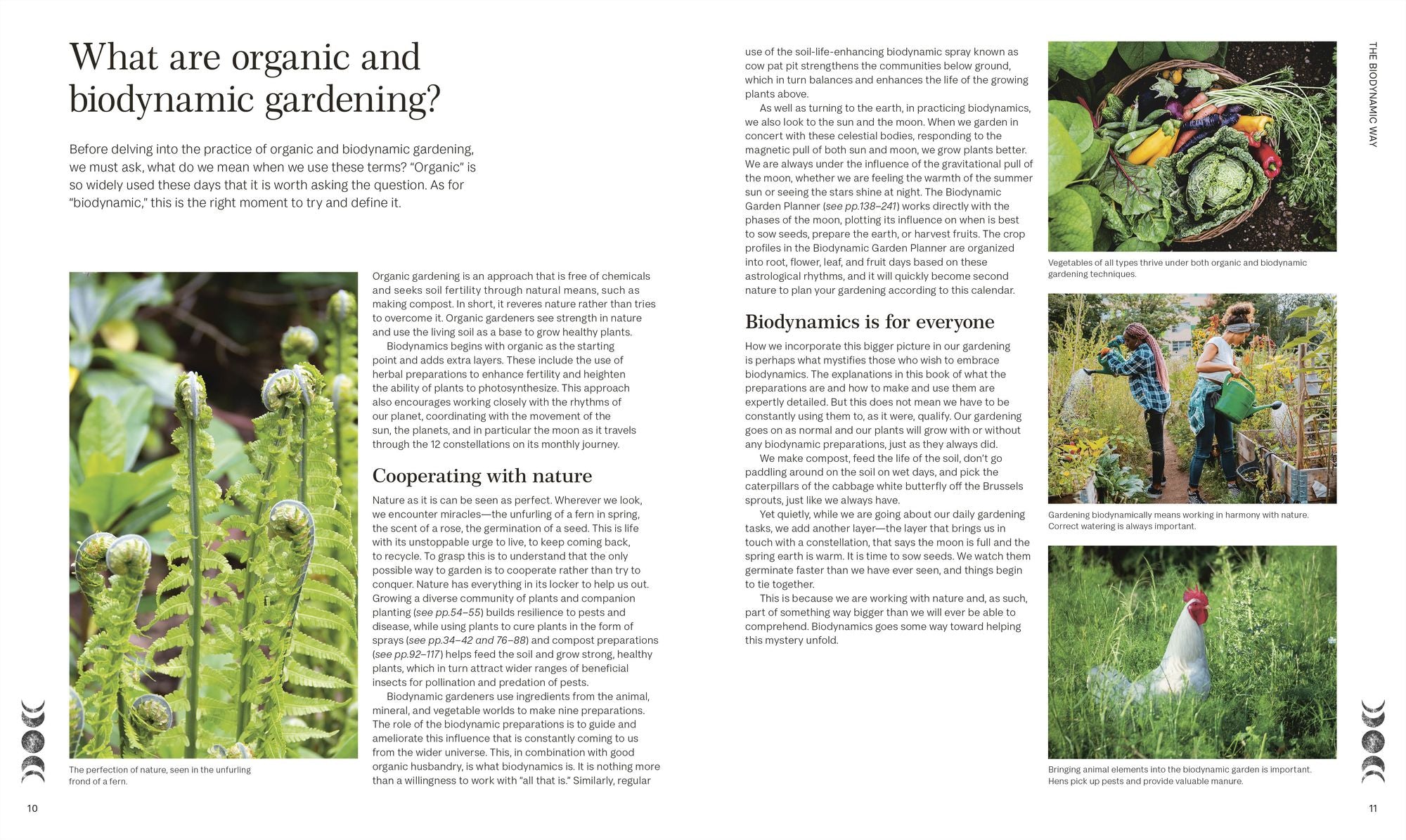 Biodynamic Gardening: Organic Growing Guided by the Moon for Bountiful Harvests