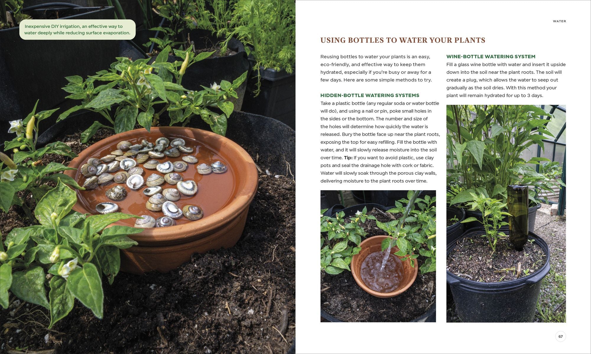 The Compact Garden: A Beginner's Guide to Growing Vegetables in Small Spaces