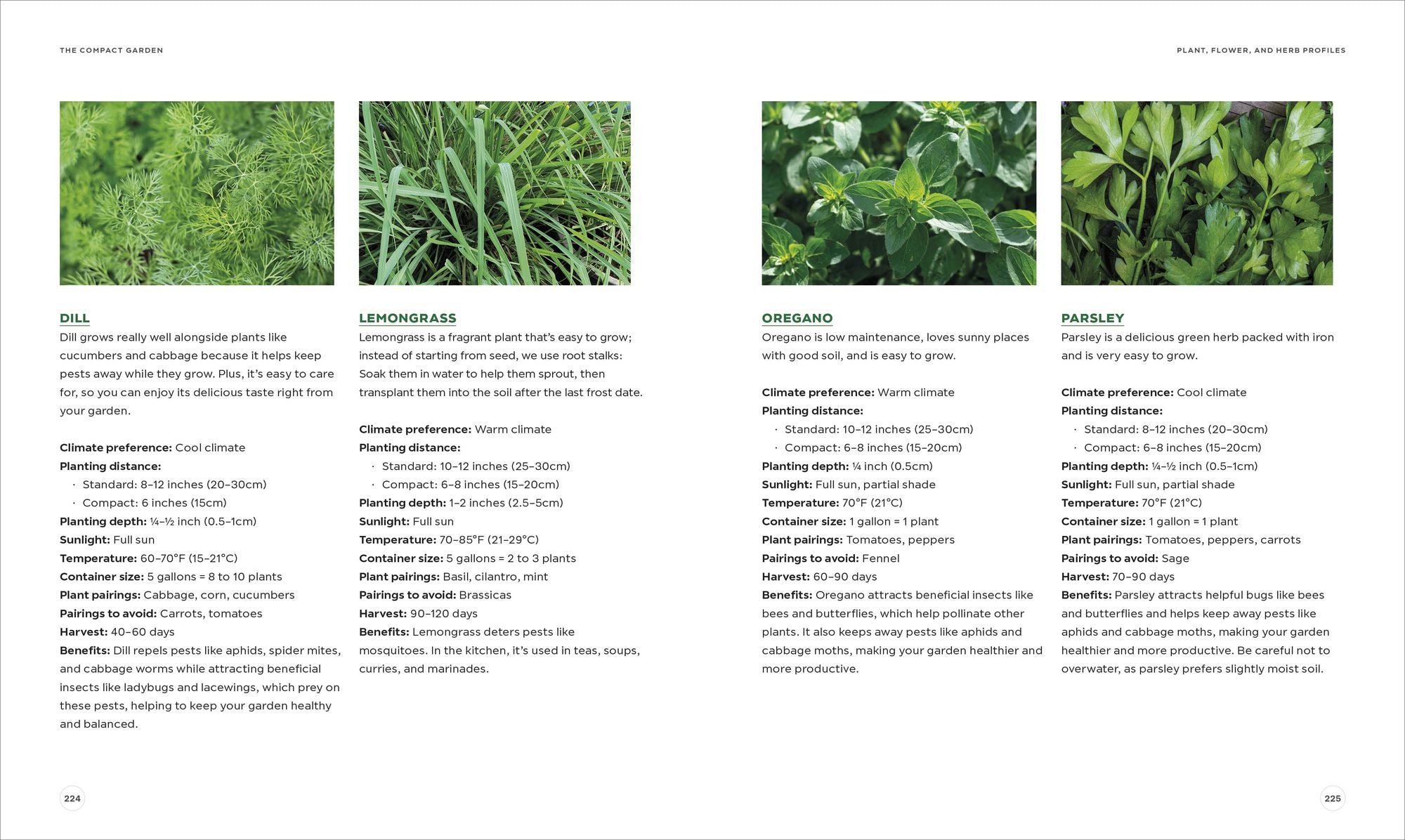The Compact Garden: A Beginner's Guide to Growing Vegetables in Small Spaces