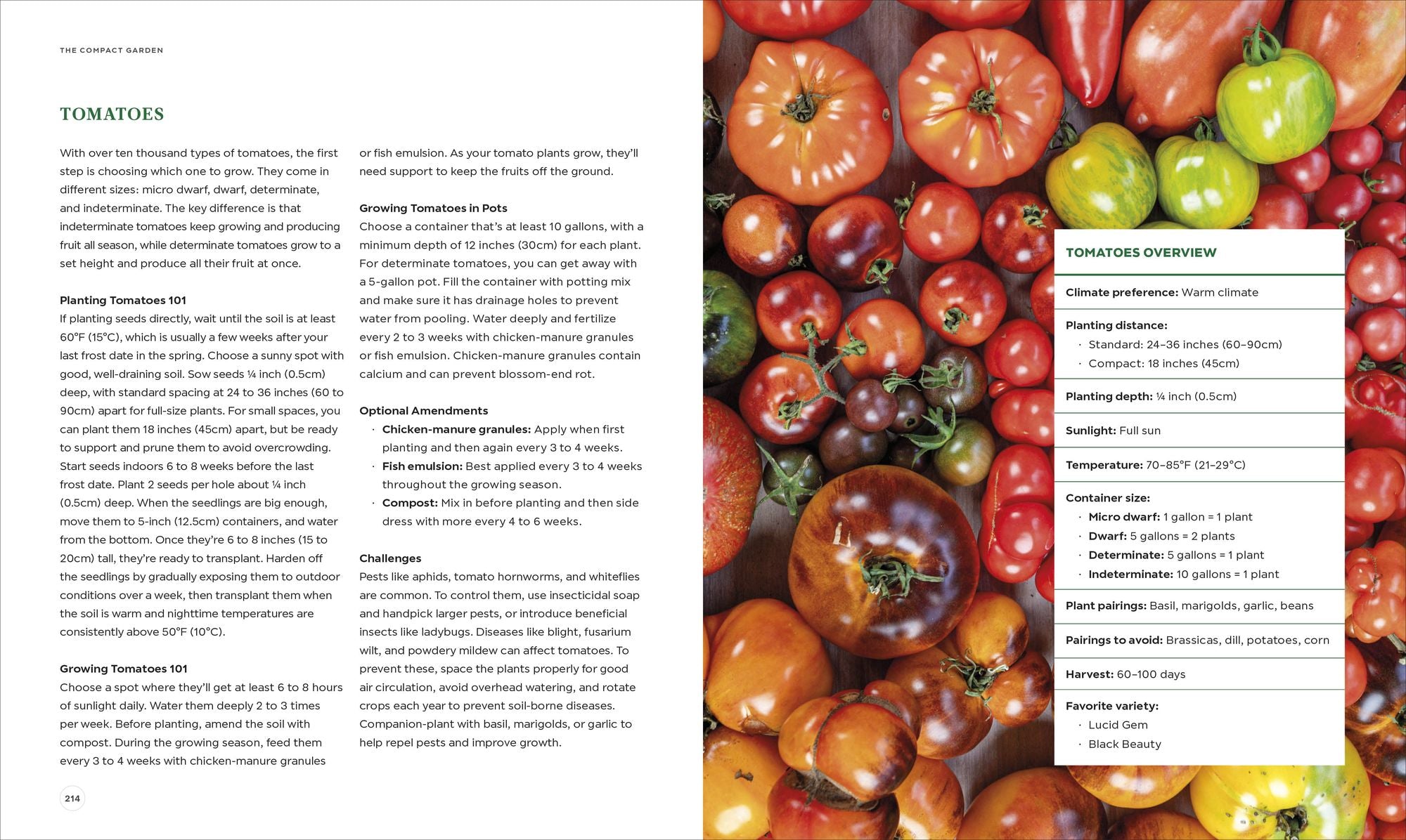 The Compact Garden: A Beginner's Guide to Growing Vegetables in Small Spaces