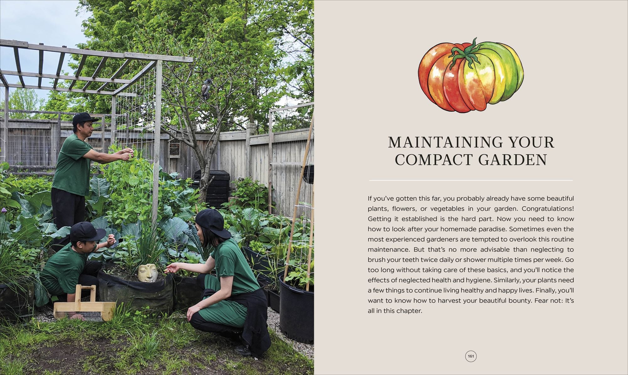 The Compact Garden: A Beginner's Guide to Growing Vegetables in Small Spaces