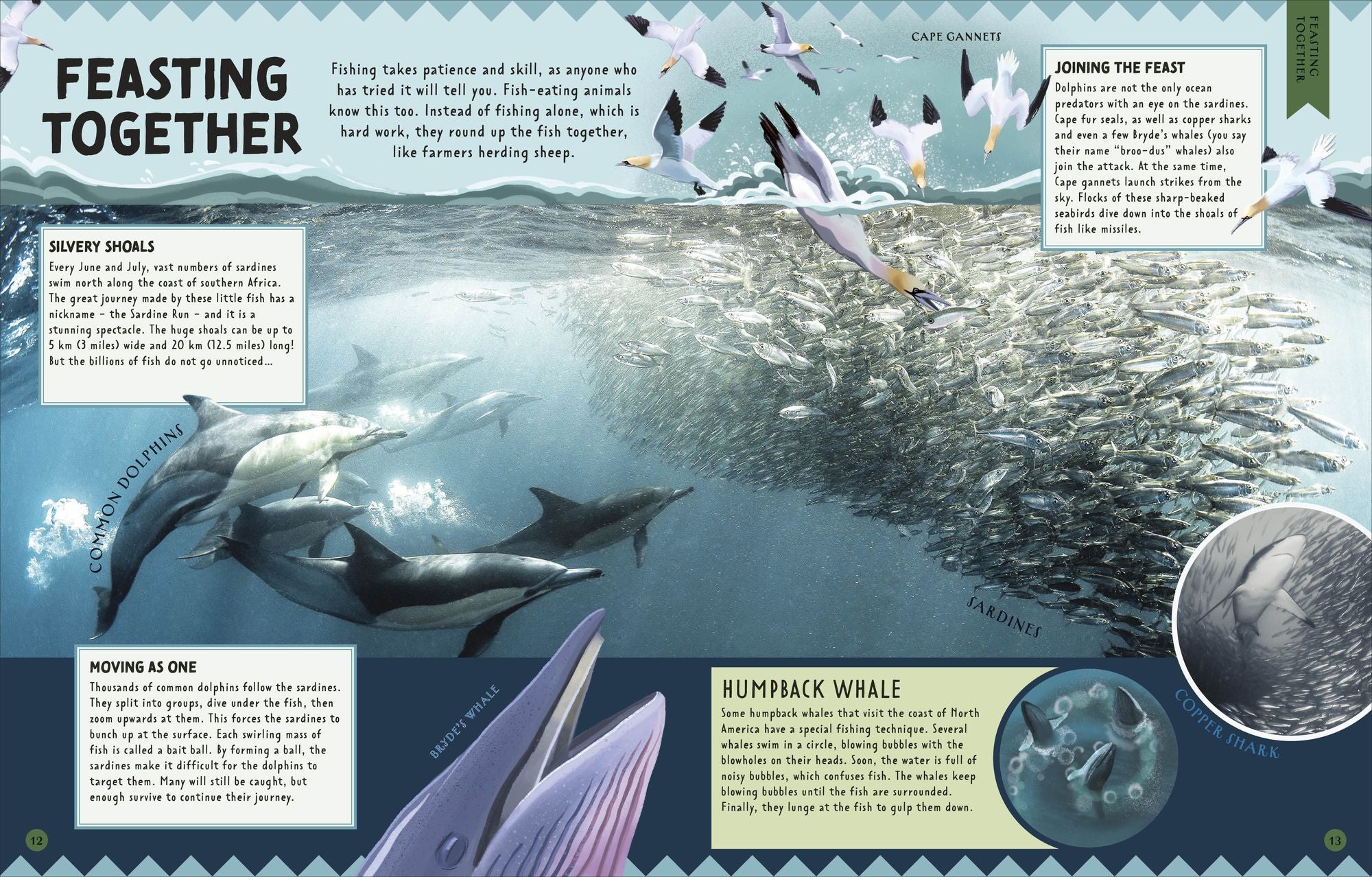Animal Partnerships: Radical Relationships, Unlikely Alliances, and Other Animal Teams