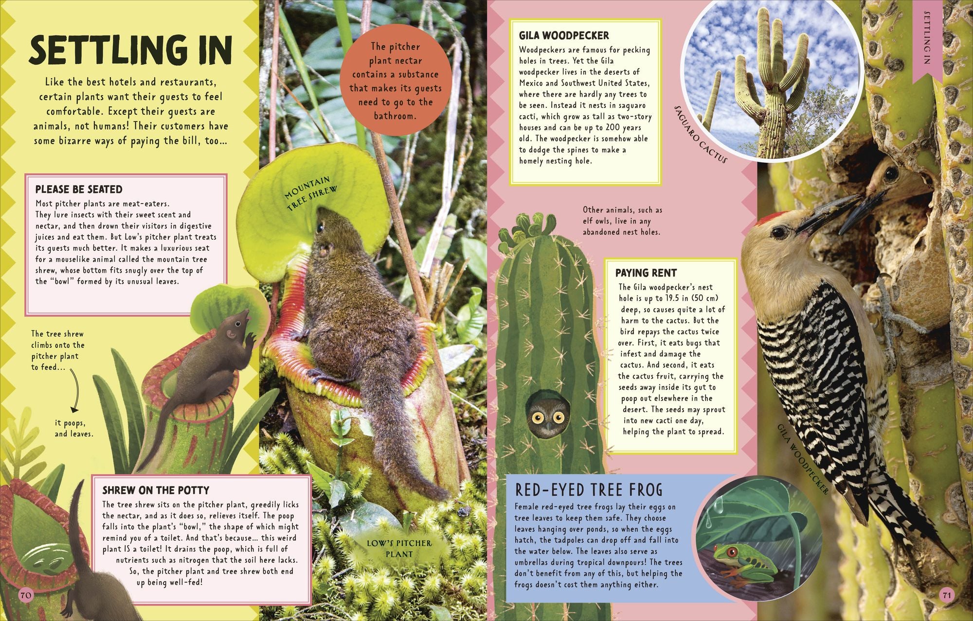 Animal Partnerships: Radical Relationships, Unlikely Alliances, and Other Animal Teams