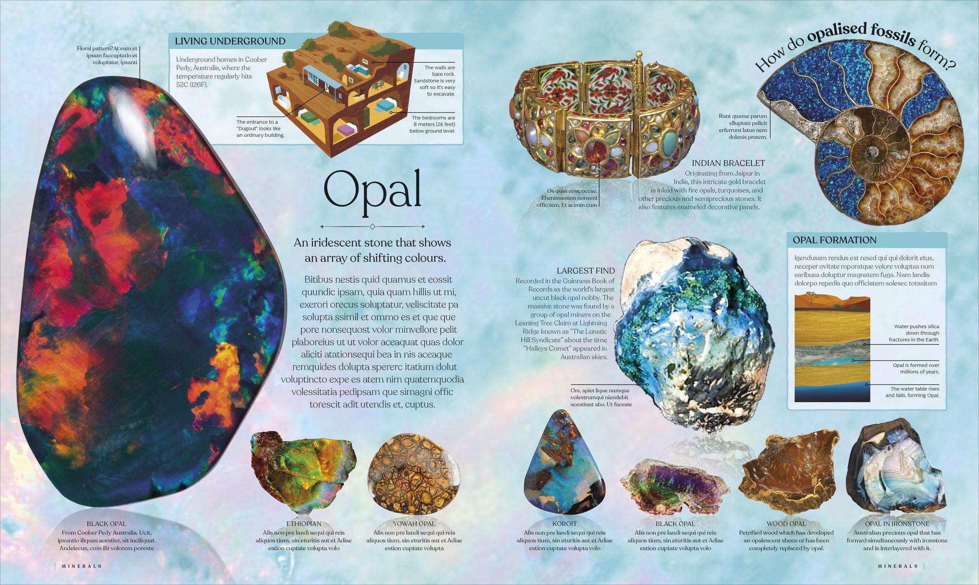 Treasures of the Earth: Rocks, Minerals, Crystals, and Gems