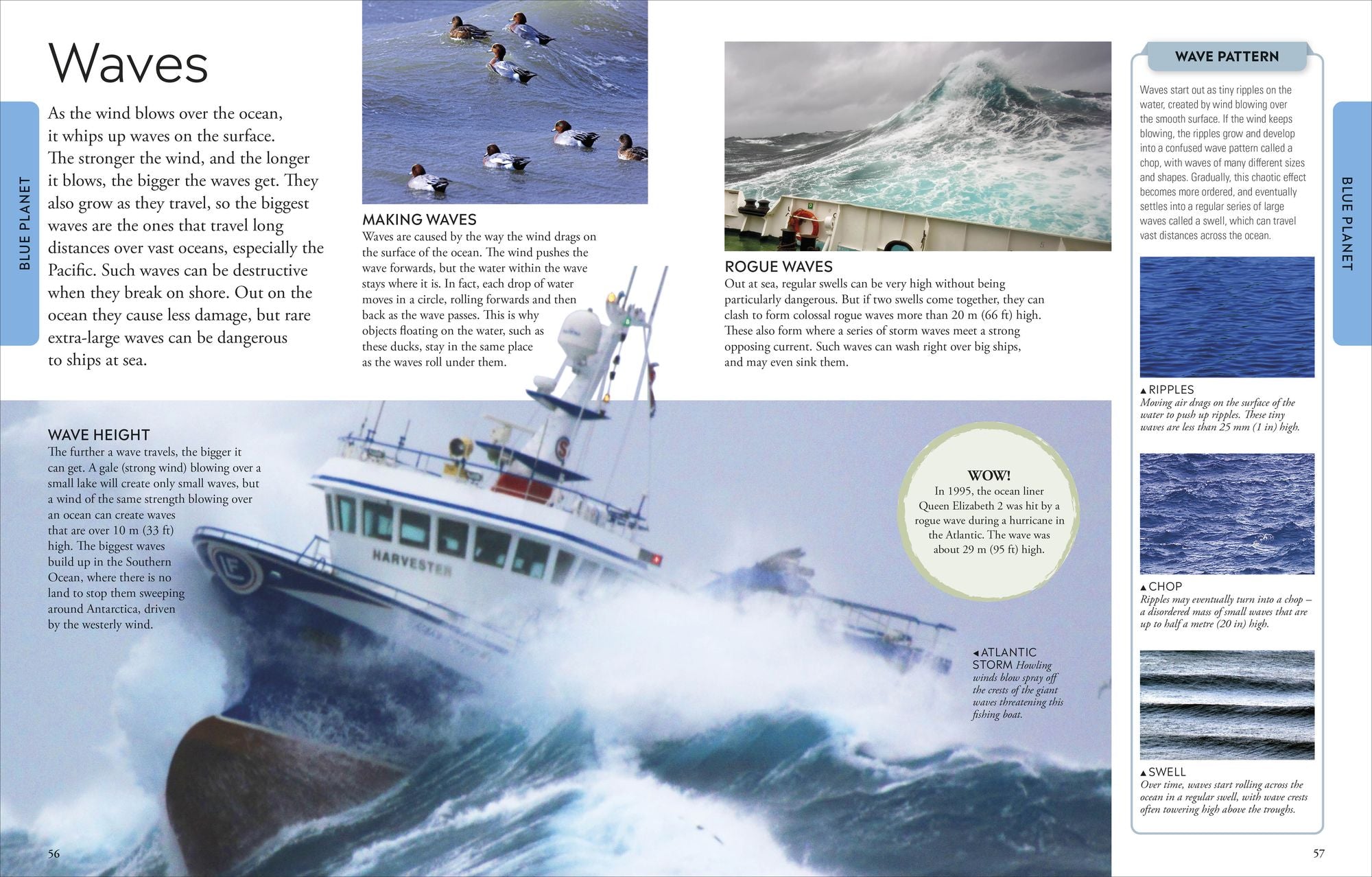 Ocean: A Visual Encyclopedia of Marine Life