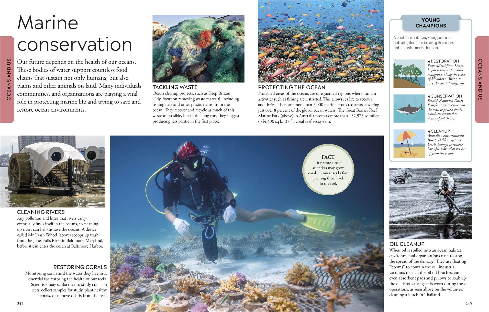 Ocean: A Visual Encyclopedia of Marine Life