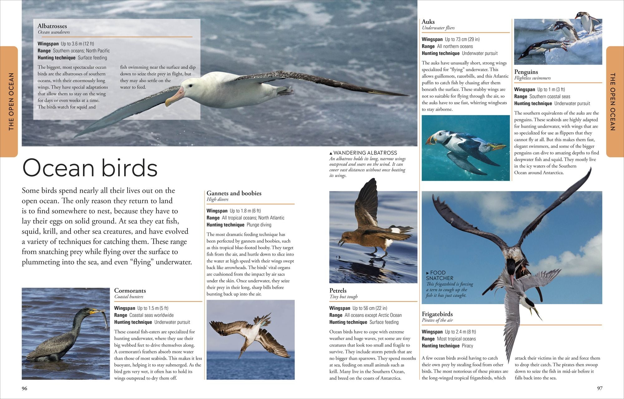 Ocean: A Visual Encyclopedia of Marine Life