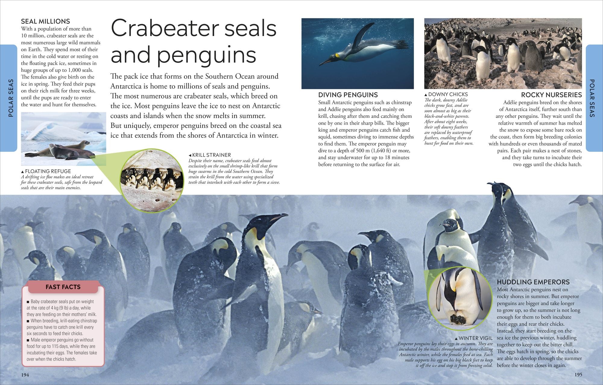 Ocean: A Visual Encyclopedia of Marine Life