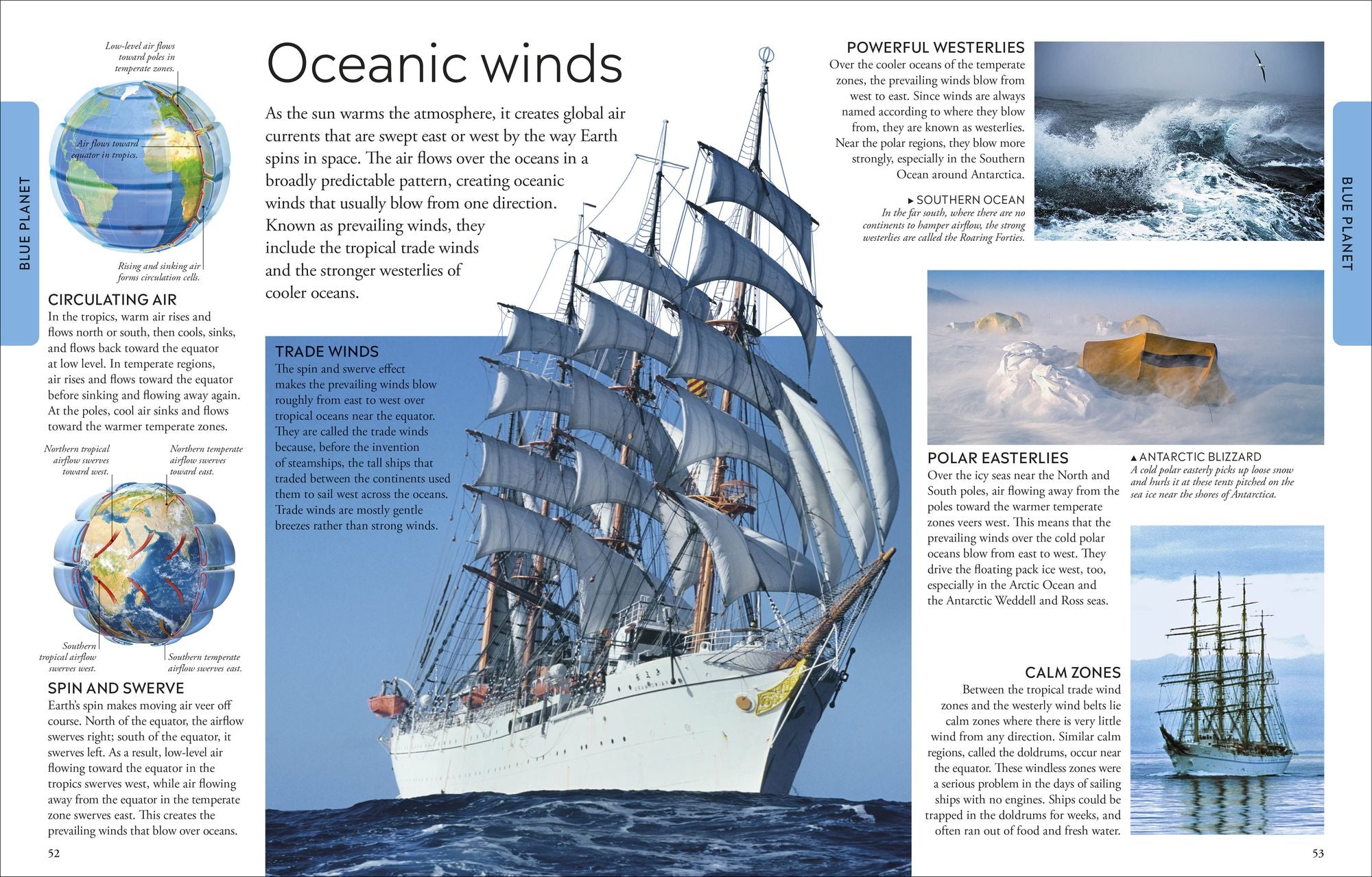Ocean: A Visual Encyclopedia of Marine Life