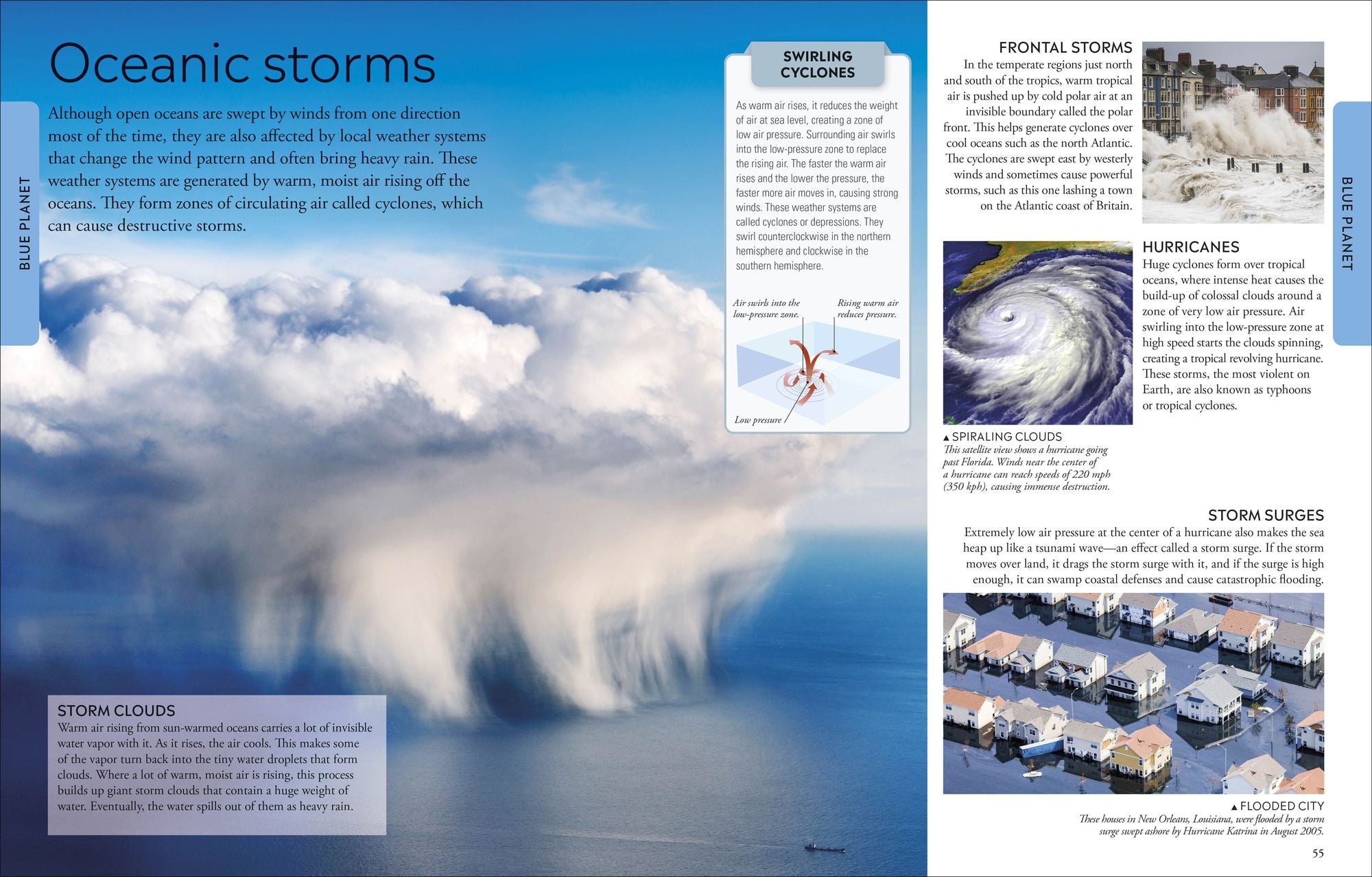 Ocean: A Visual Encyclopedia of Marine Life