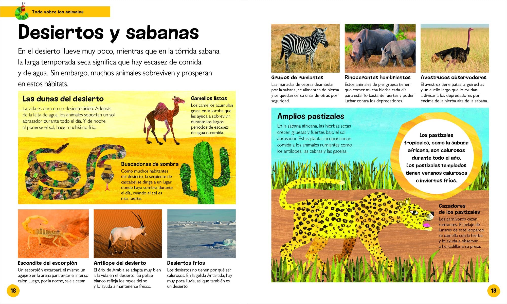 La oruga muy hambrienta Mi primera enciclopedia de animales (The Very Hungry Caterpillar's Very First Animal Encyclopedia)