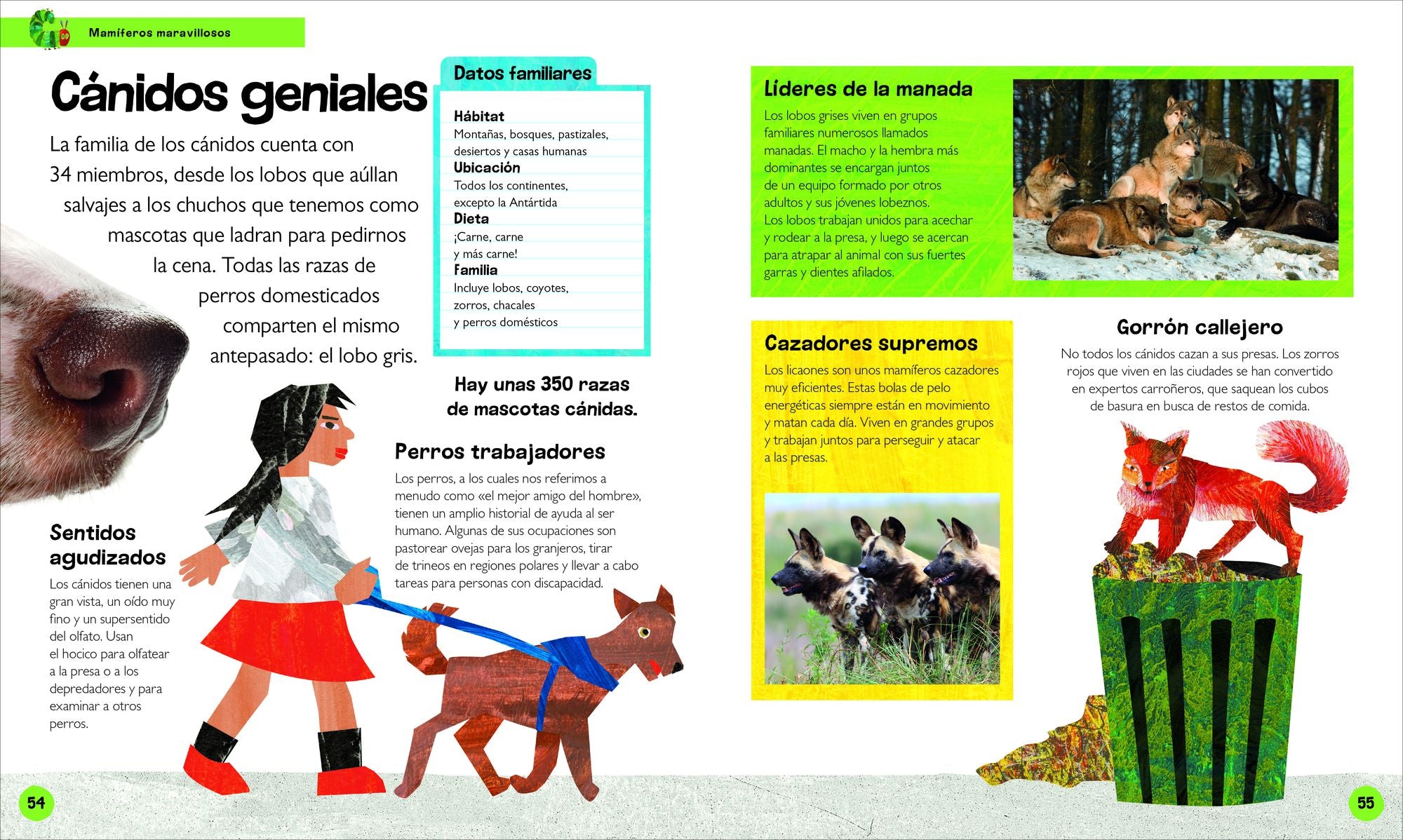 La oruga muy hambrienta Mi primera enciclopedia de animales (The Very Hungry Caterpillar's Very First Animal Encyclopedia)