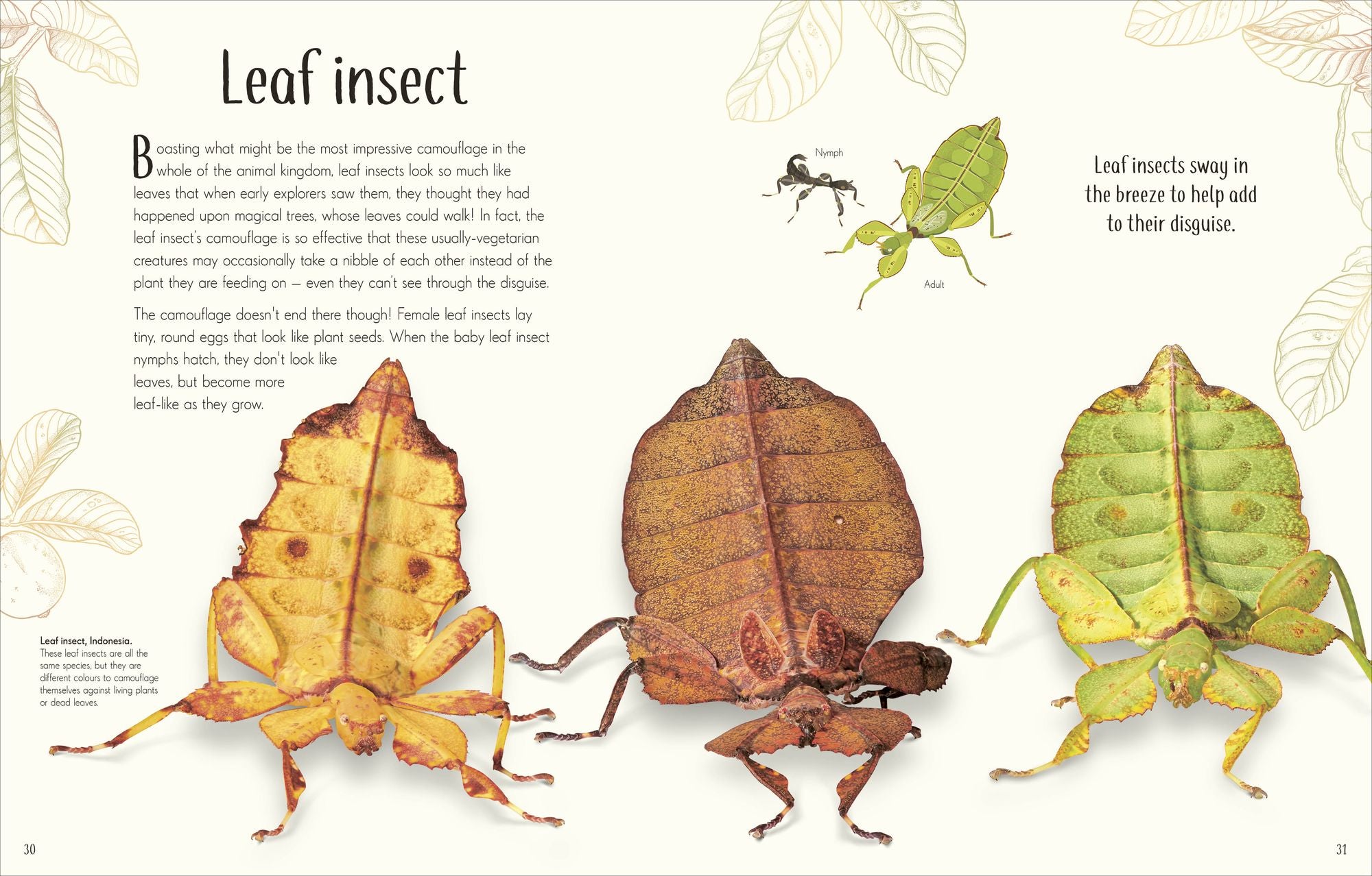 An Anthology of Remarkable Bugs