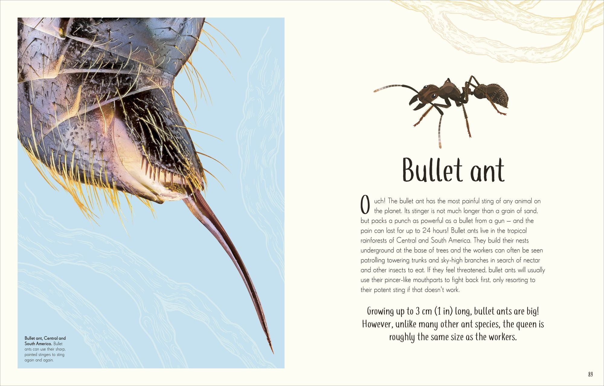 An Anthology of Remarkable Bugs