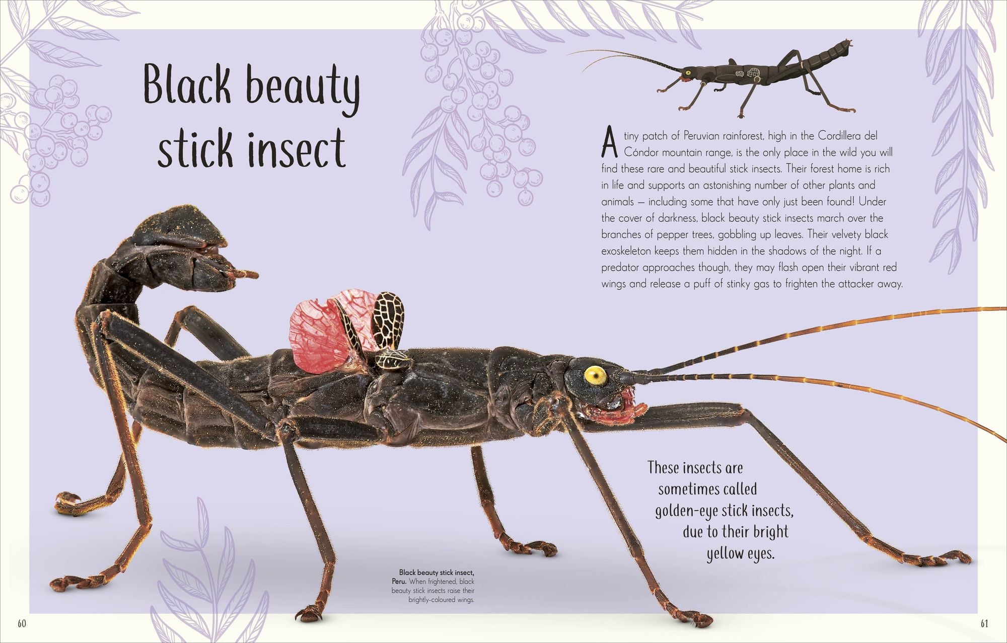 An Anthology of Remarkable Bugs