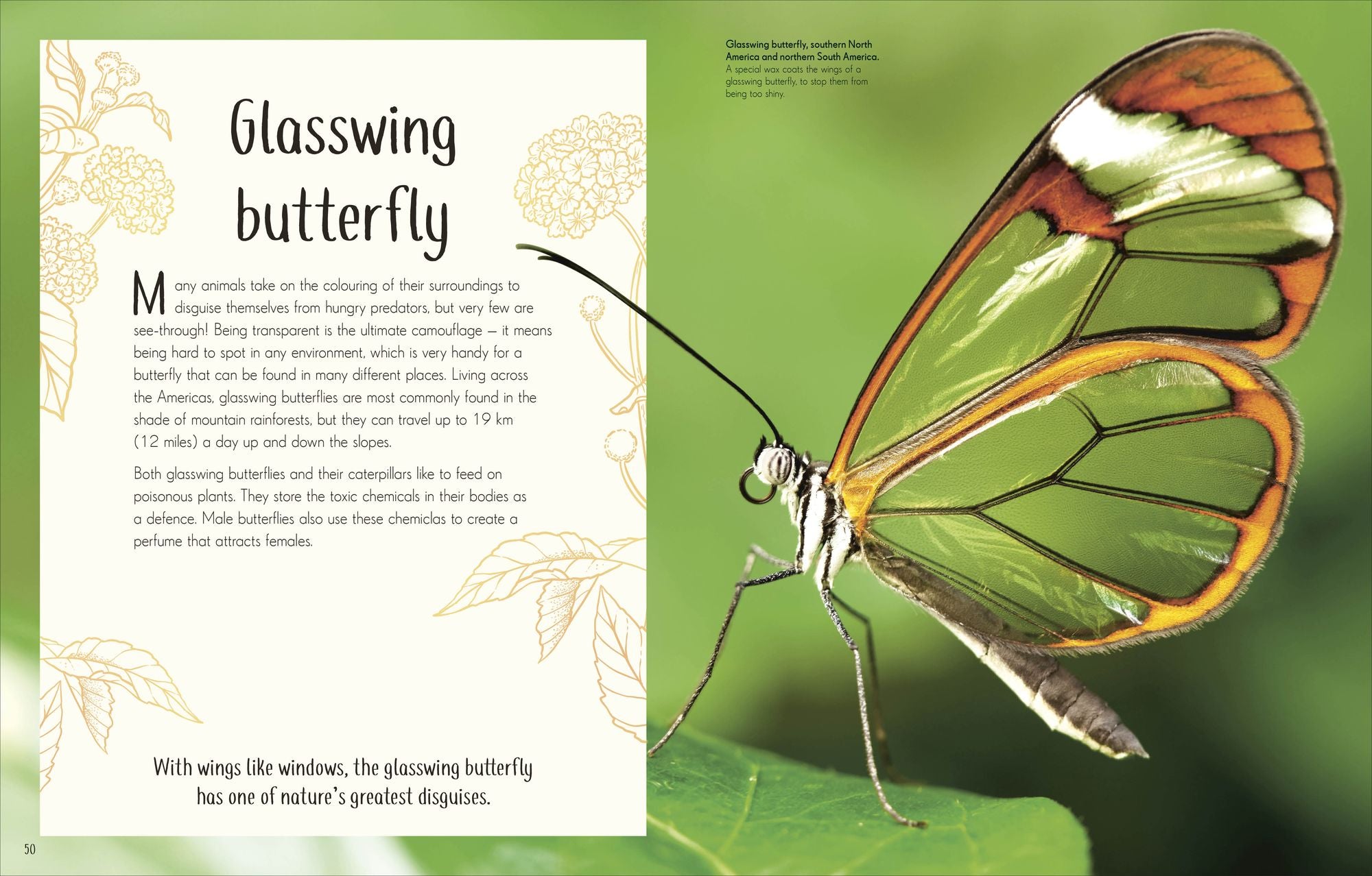 An Anthology of Remarkable Bugs