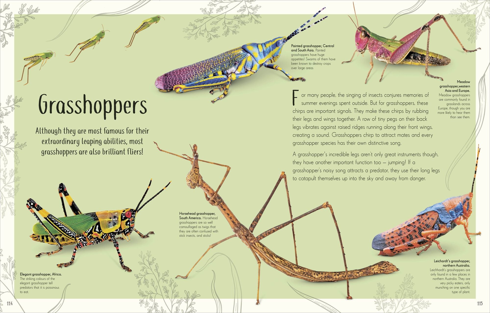 An Anthology of Remarkable Bugs