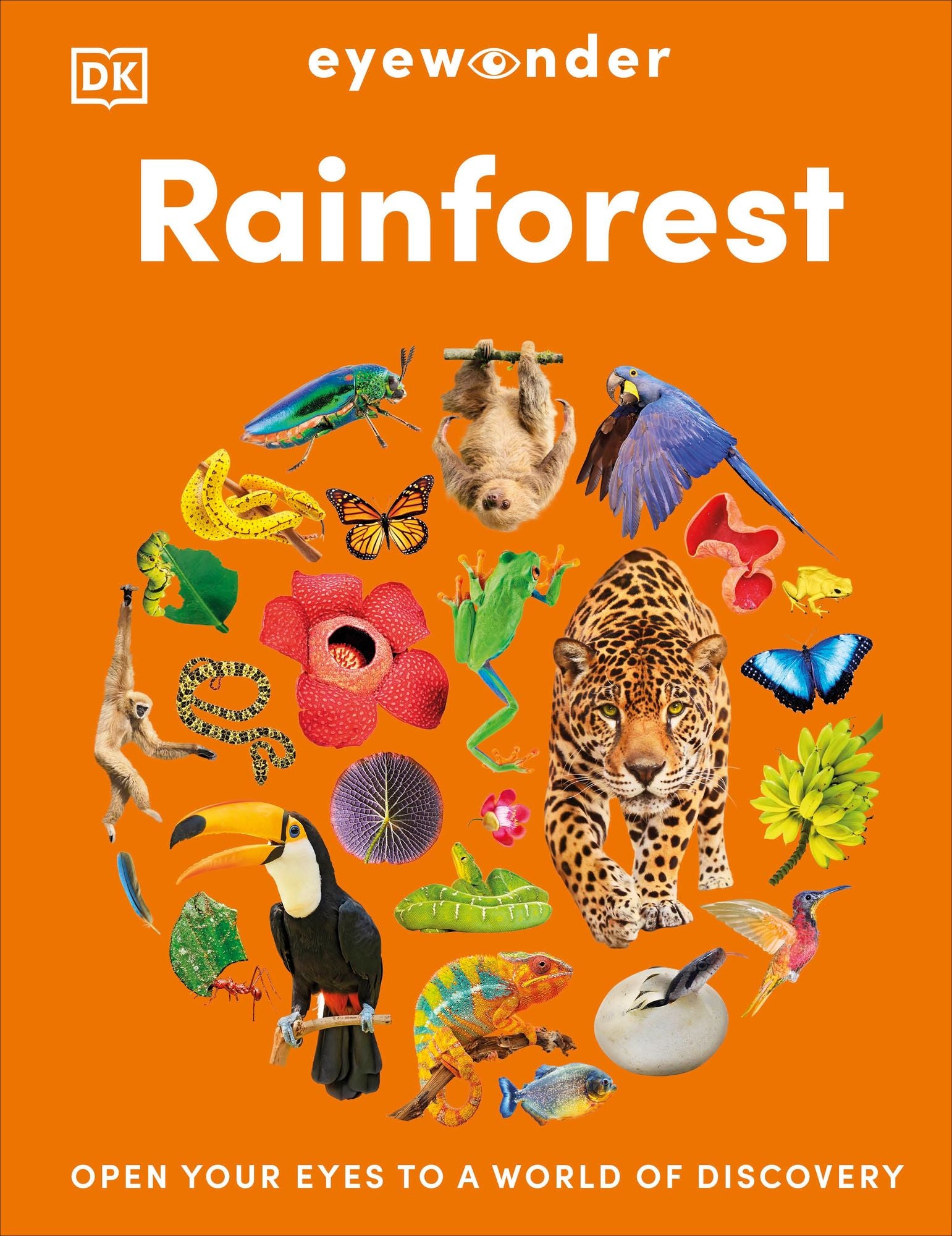 Eyewonder Rainforest: Open Your Eyes to a World of Discovery