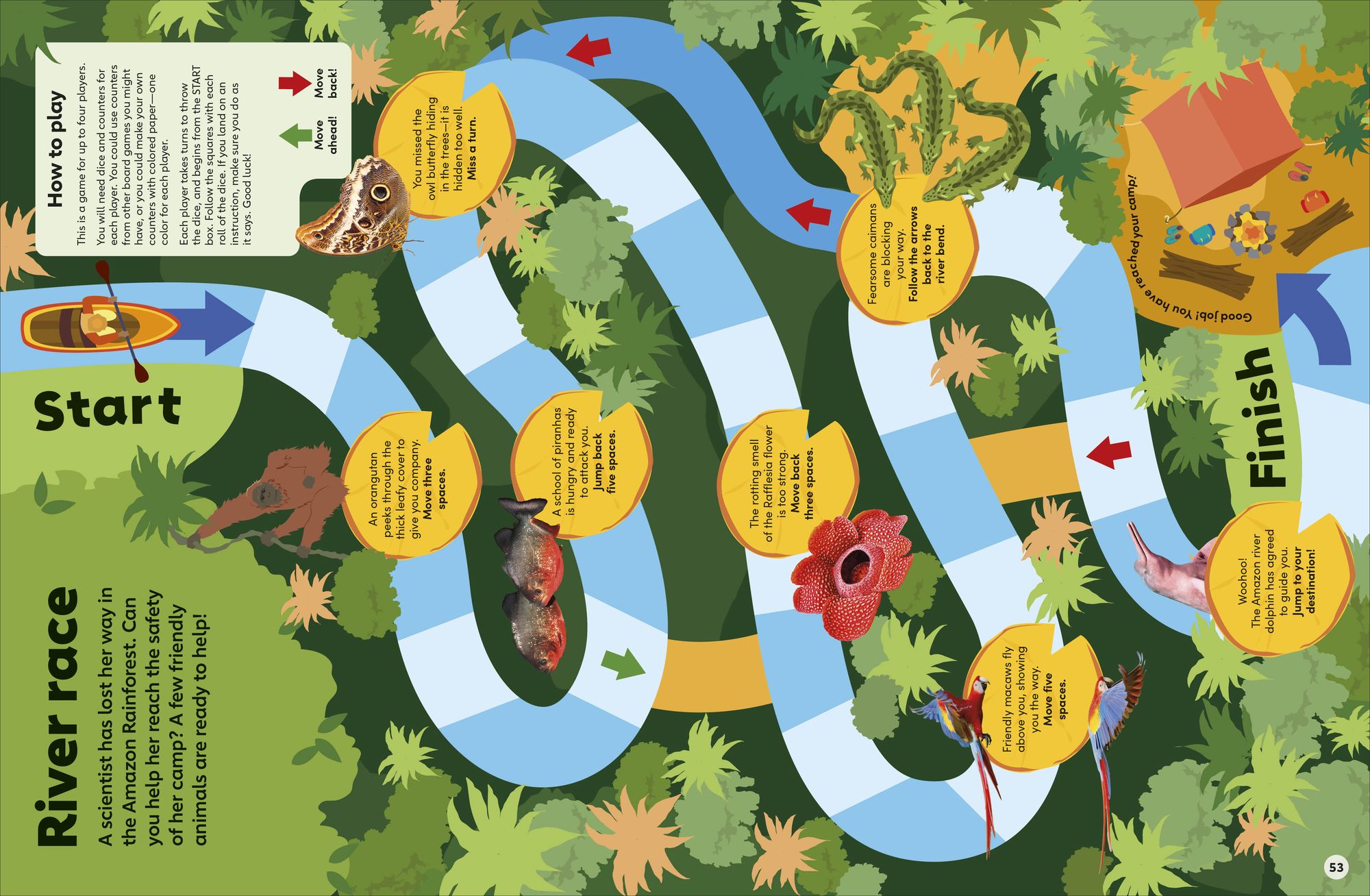 Eyewonder Rainforest: Open Your Eyes to a World of Discovery