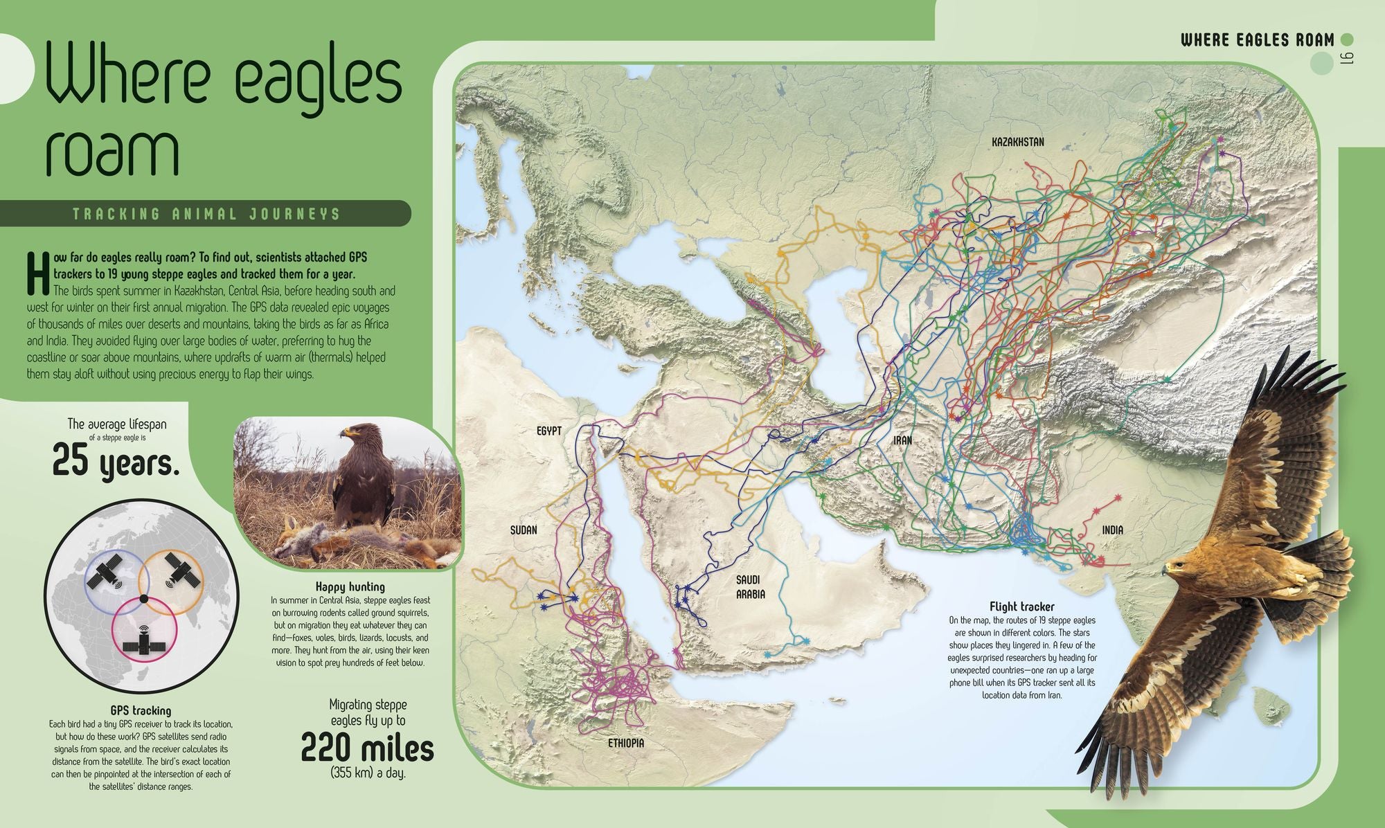 Maptastic!: Reimagine the World One Map at a Time