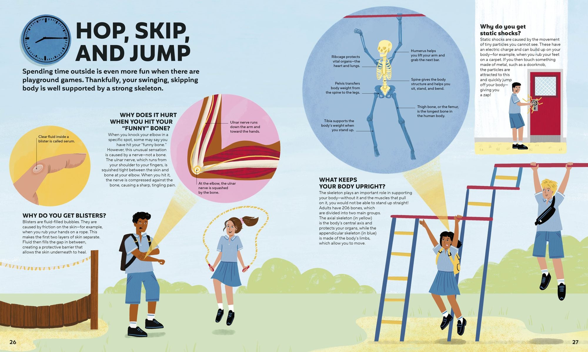 A Day in the Life of Your Body: Find Out What's Going on Under Your Skin