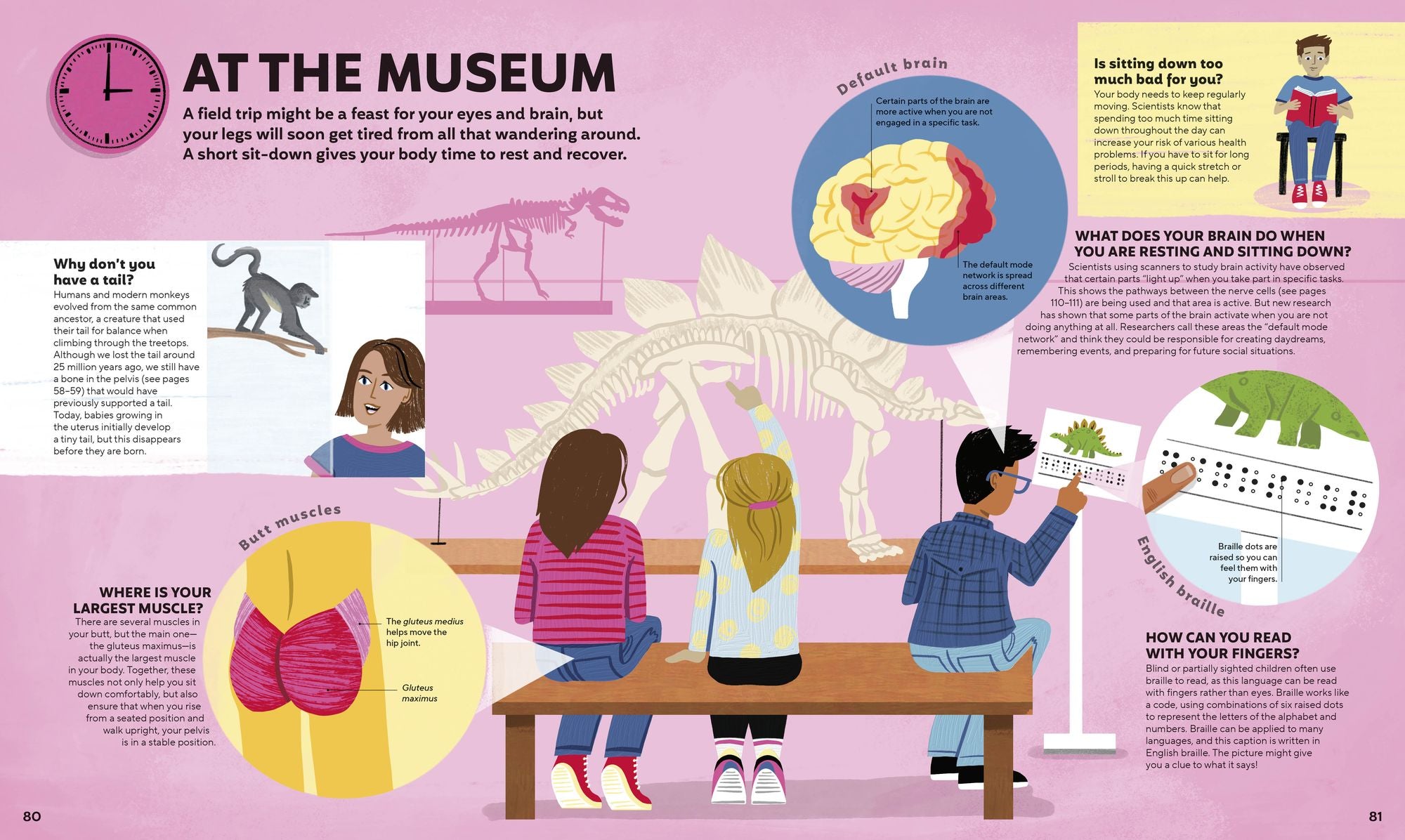 A Day in the Life of Your Body: Find Out What's Going on Under Your Skin