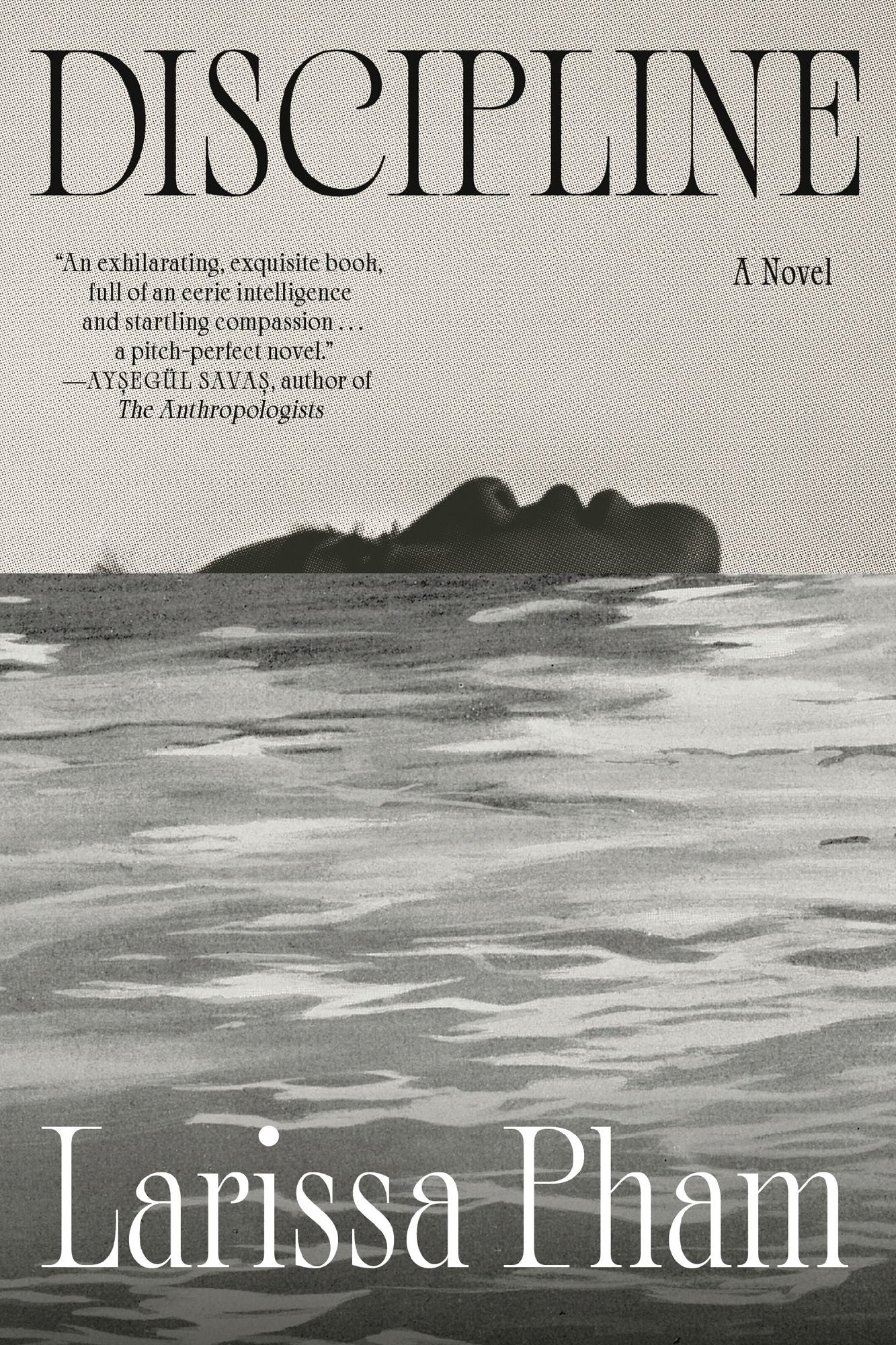 Discipline: A Novel