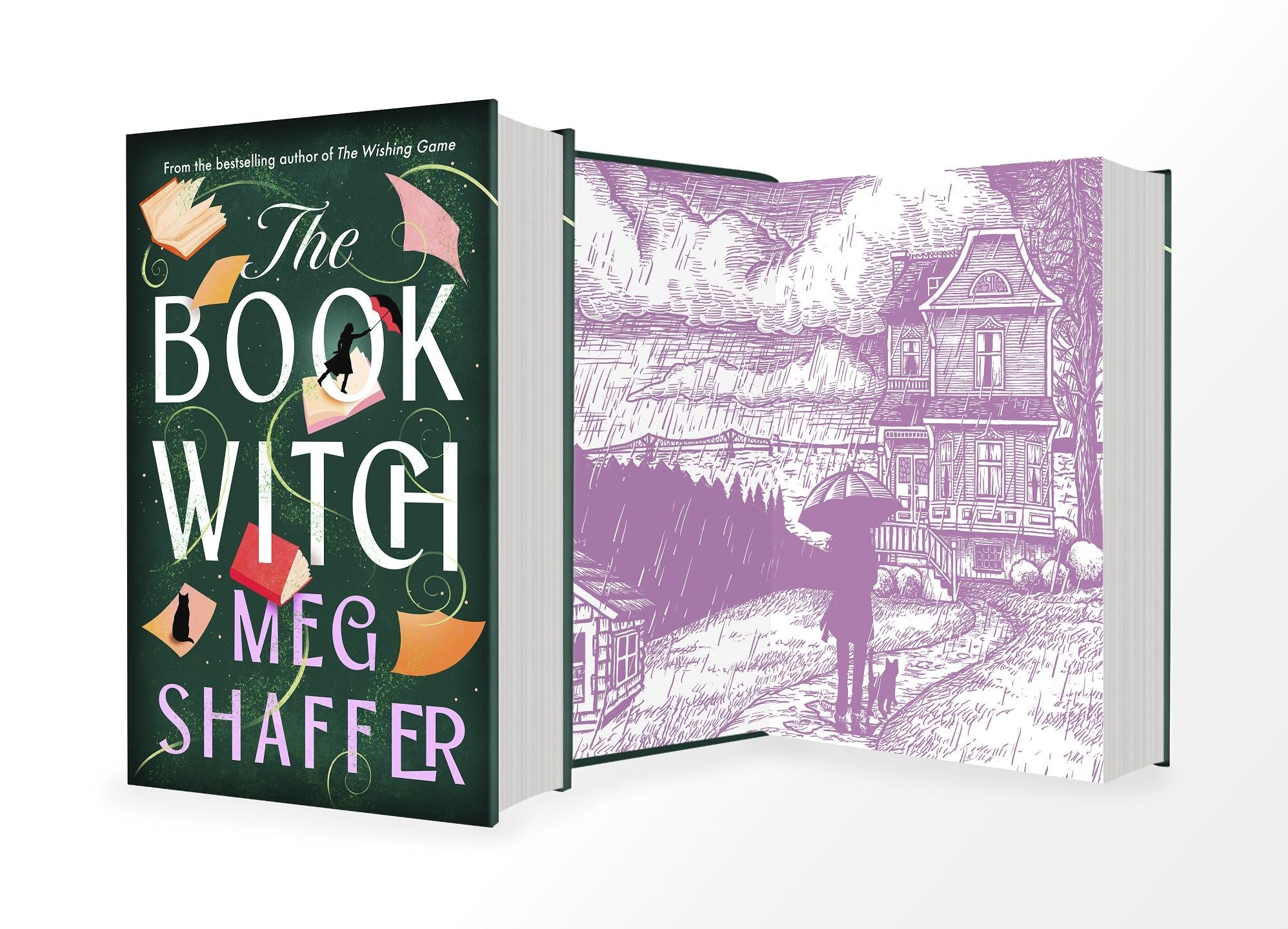 The Book Witch: A Novel